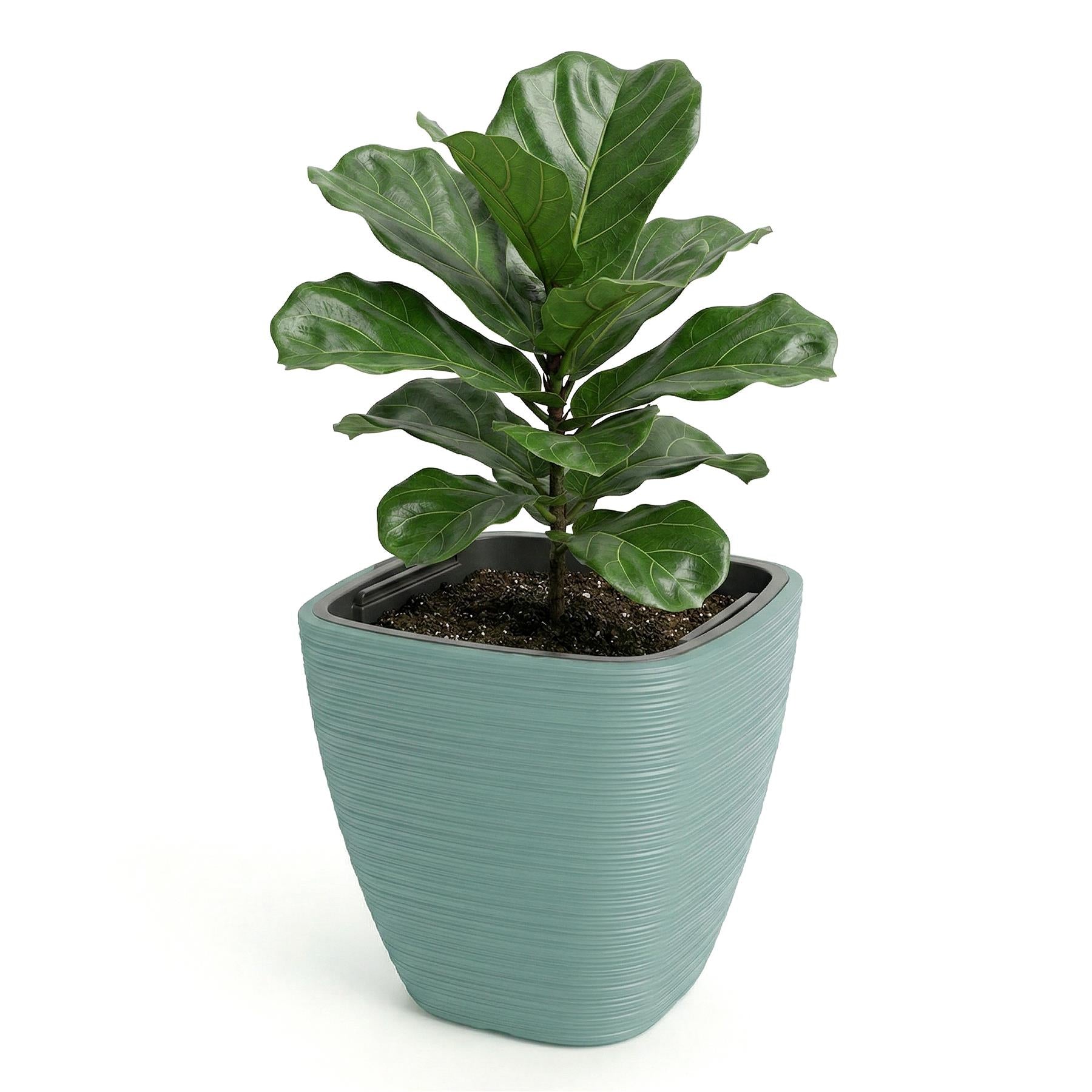 Square Flower Pot, 28.9 cm