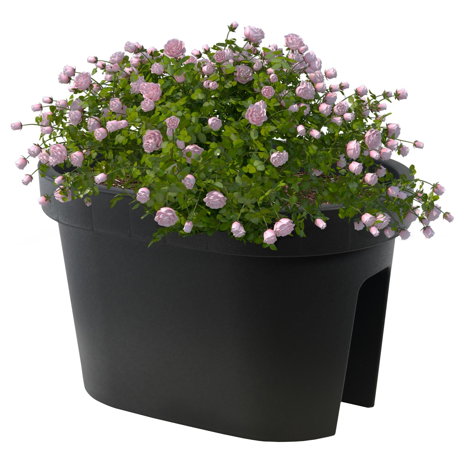 Flower Bridge Hanging Planter Oval Pot by Geezy - The Magic Toy Shop