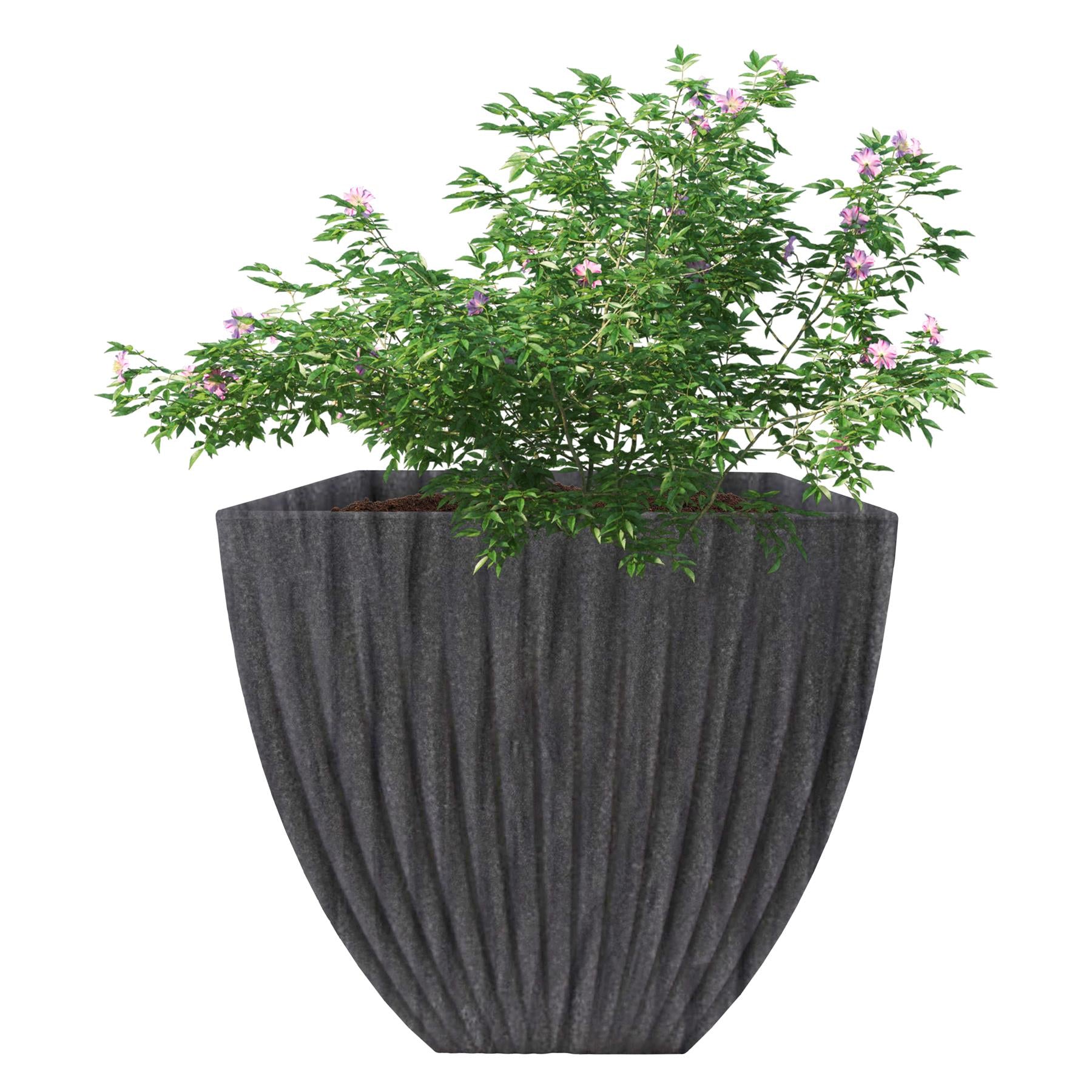 Large Charcoal Black Lotus Square Planter by GEEZY - The Magic Toy Shop