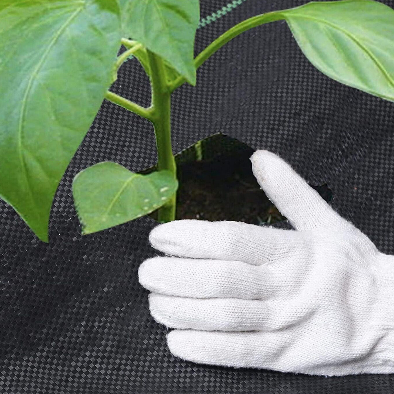 Foldable Weed Control Fabric by GEEZY - The Magic Toy Shop