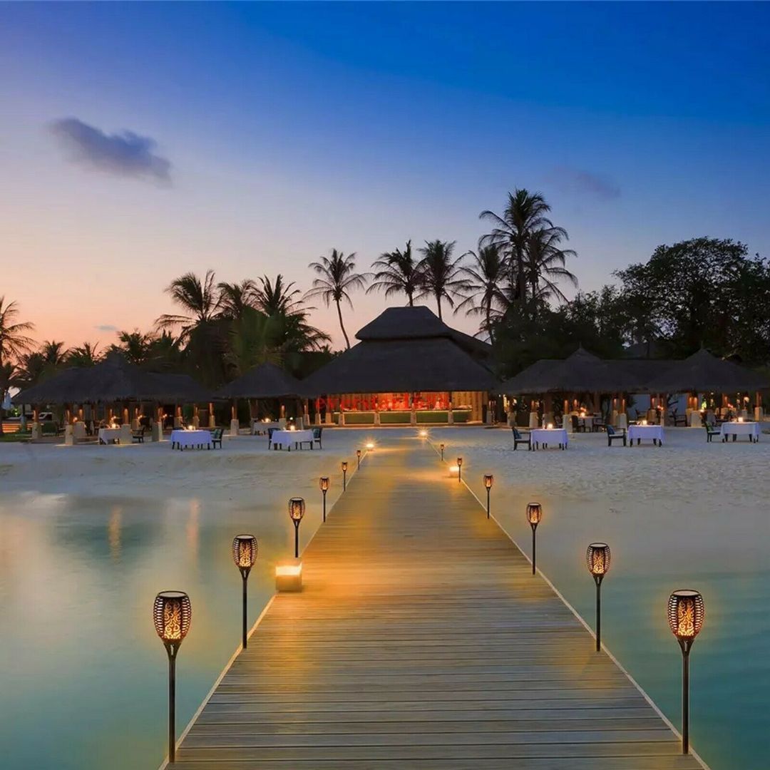 Solar Flame Effect Torch Stake Lights by GEEZY - The Magic Toy Shop