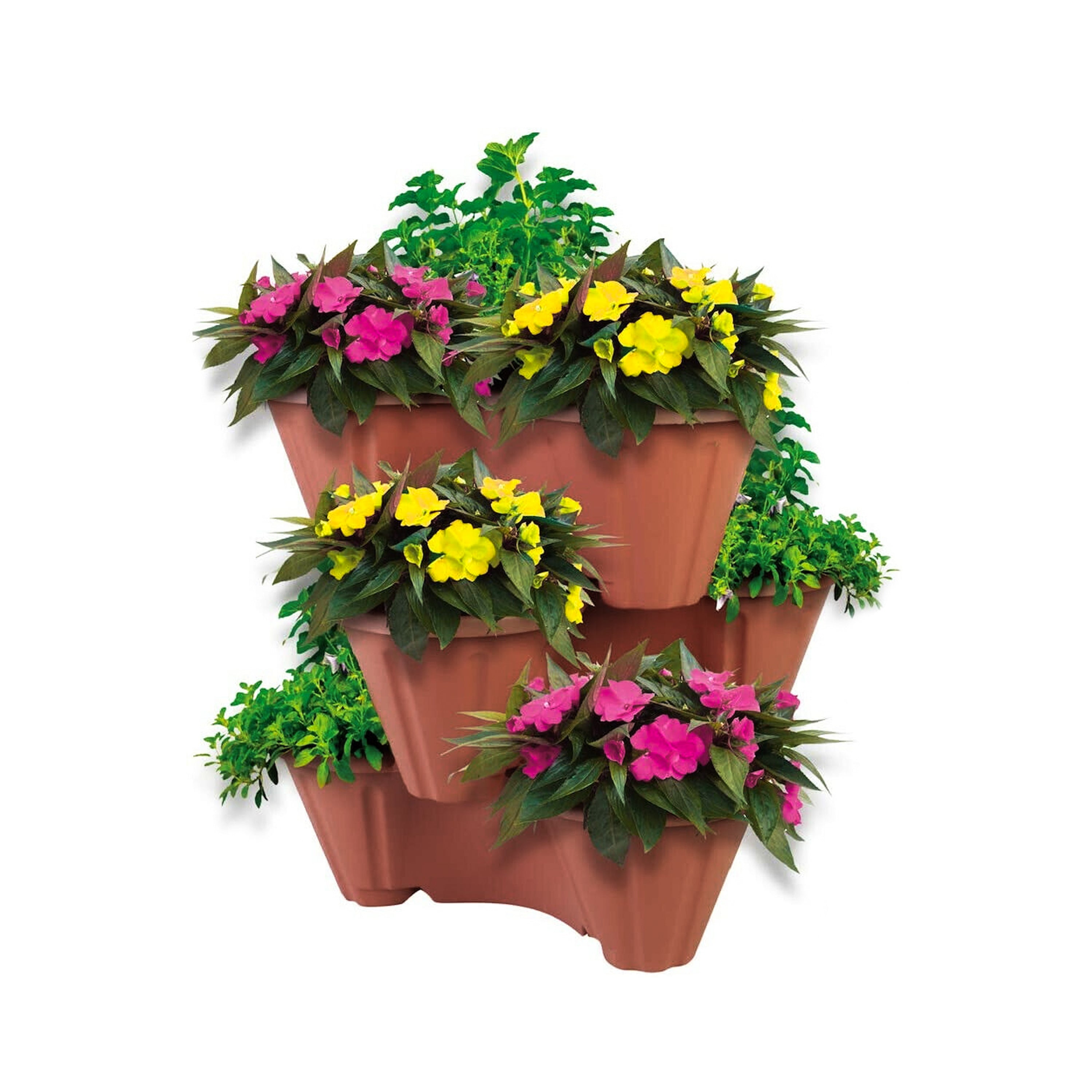 Strawberry/ Herb/ Flower Pot GEEZY - The Magic Toy Shop