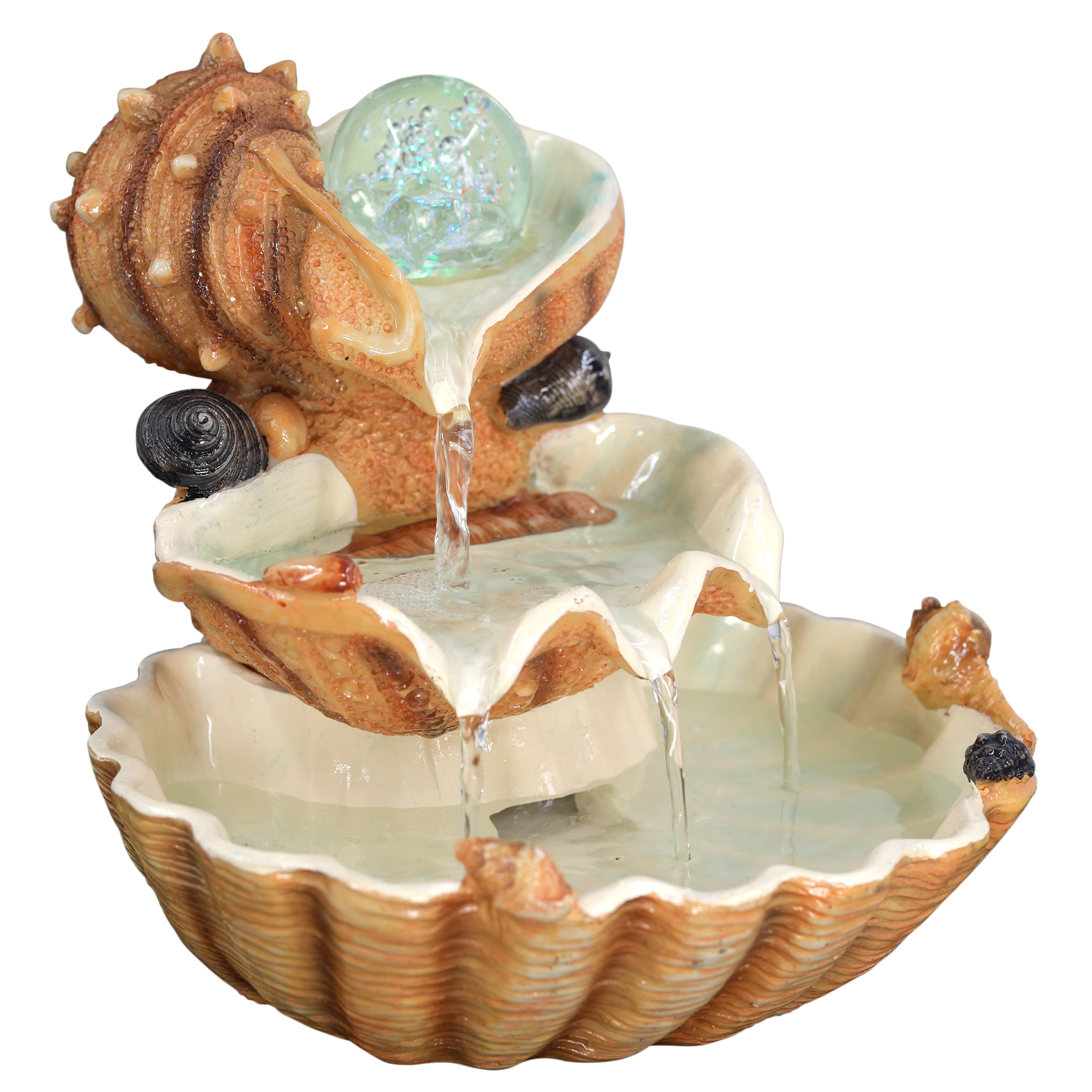 Clam Shell Water Feature Indoor With LED by GEEZY - The Magic Toy Shop