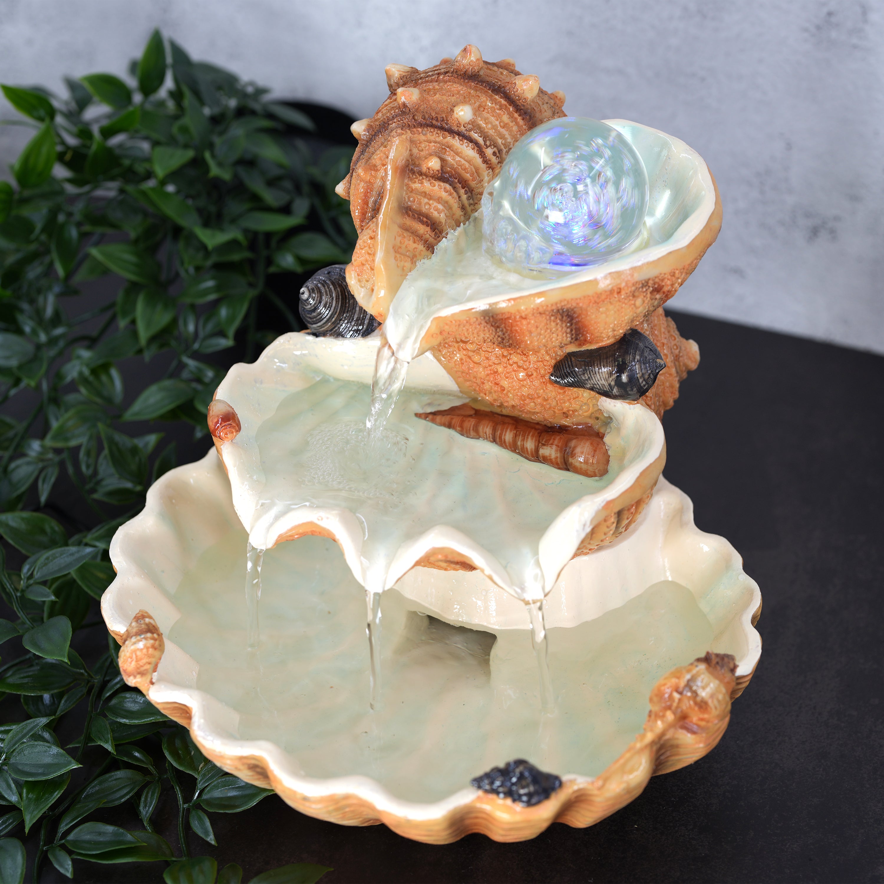Clam Shell Water Feature Indoor With LED by GEEZY - The Magic Toy Shop