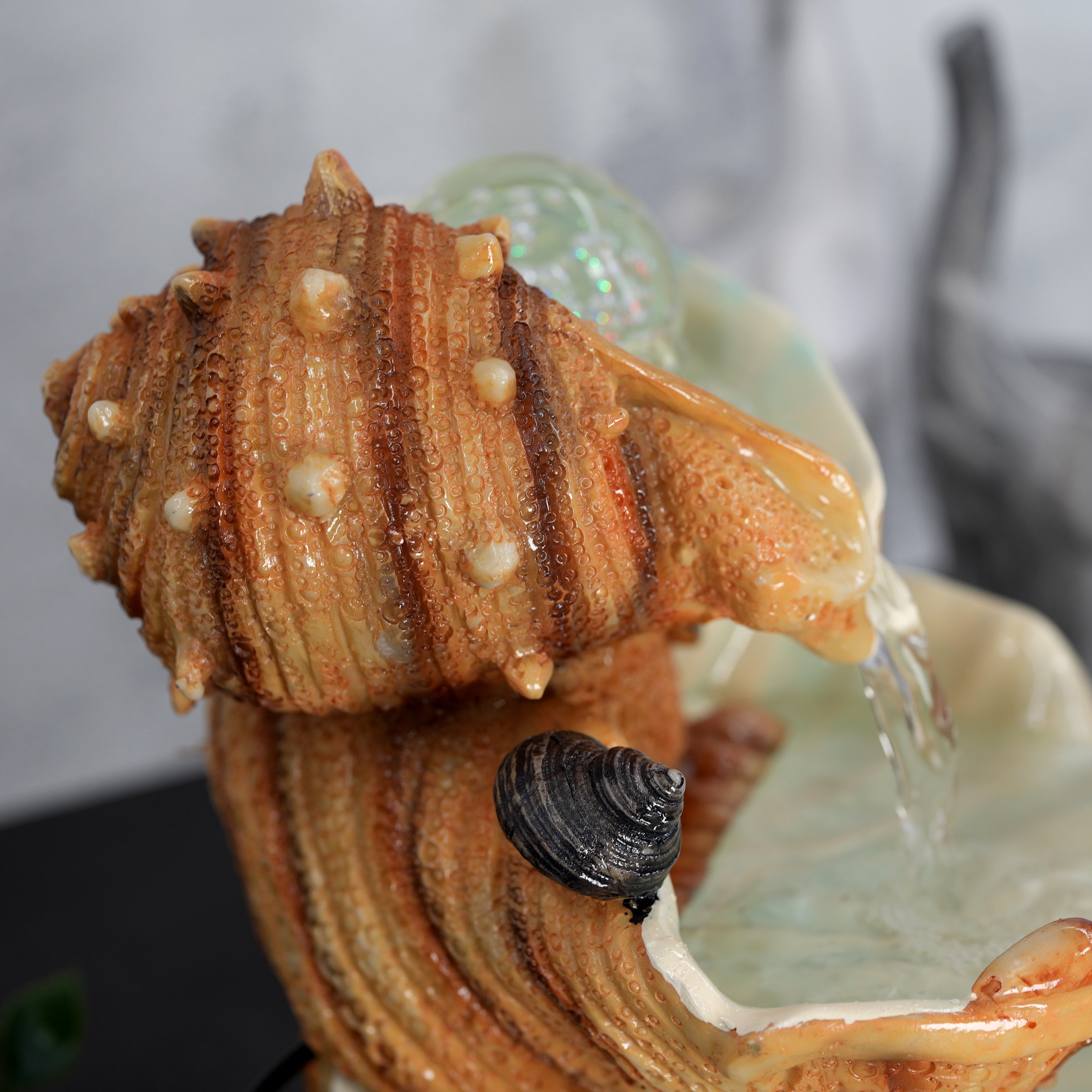 Clam Shell Water Feature Indoor With LED by GEEZY - The Magic Toy Shop