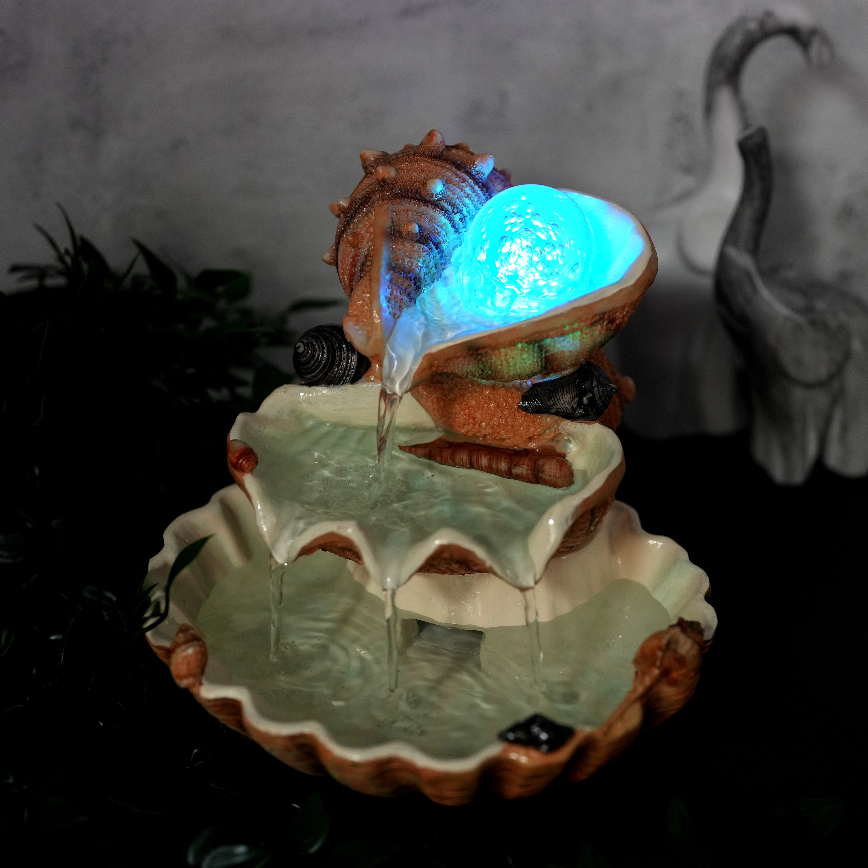 Clam Shell Water Feature Indoor With LED by GEEZY - The Magic Toy Shop