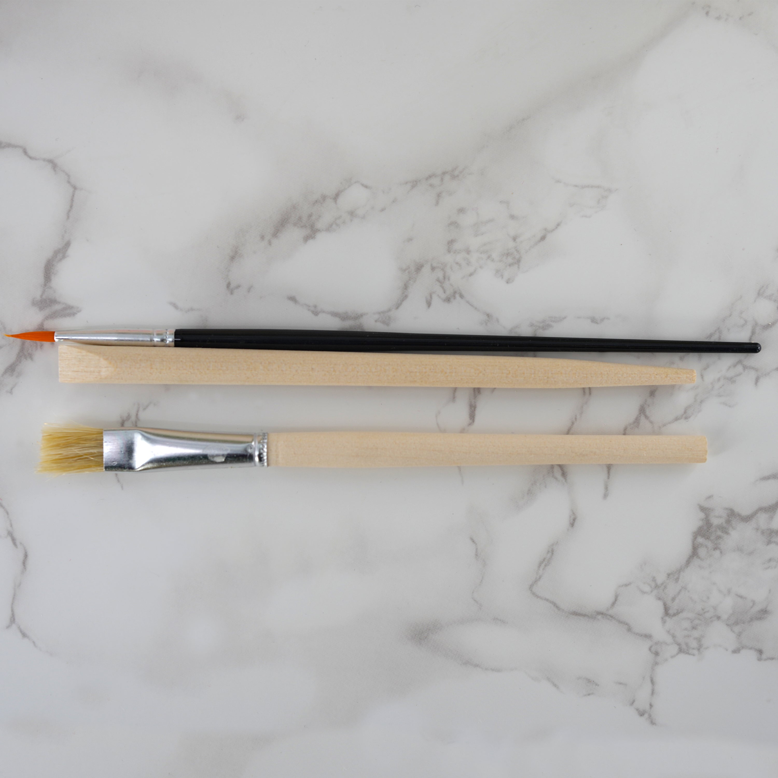 2-in-1 Fossil Excavation Kit by The Magic Toy Shop - The Magic Toy Shop