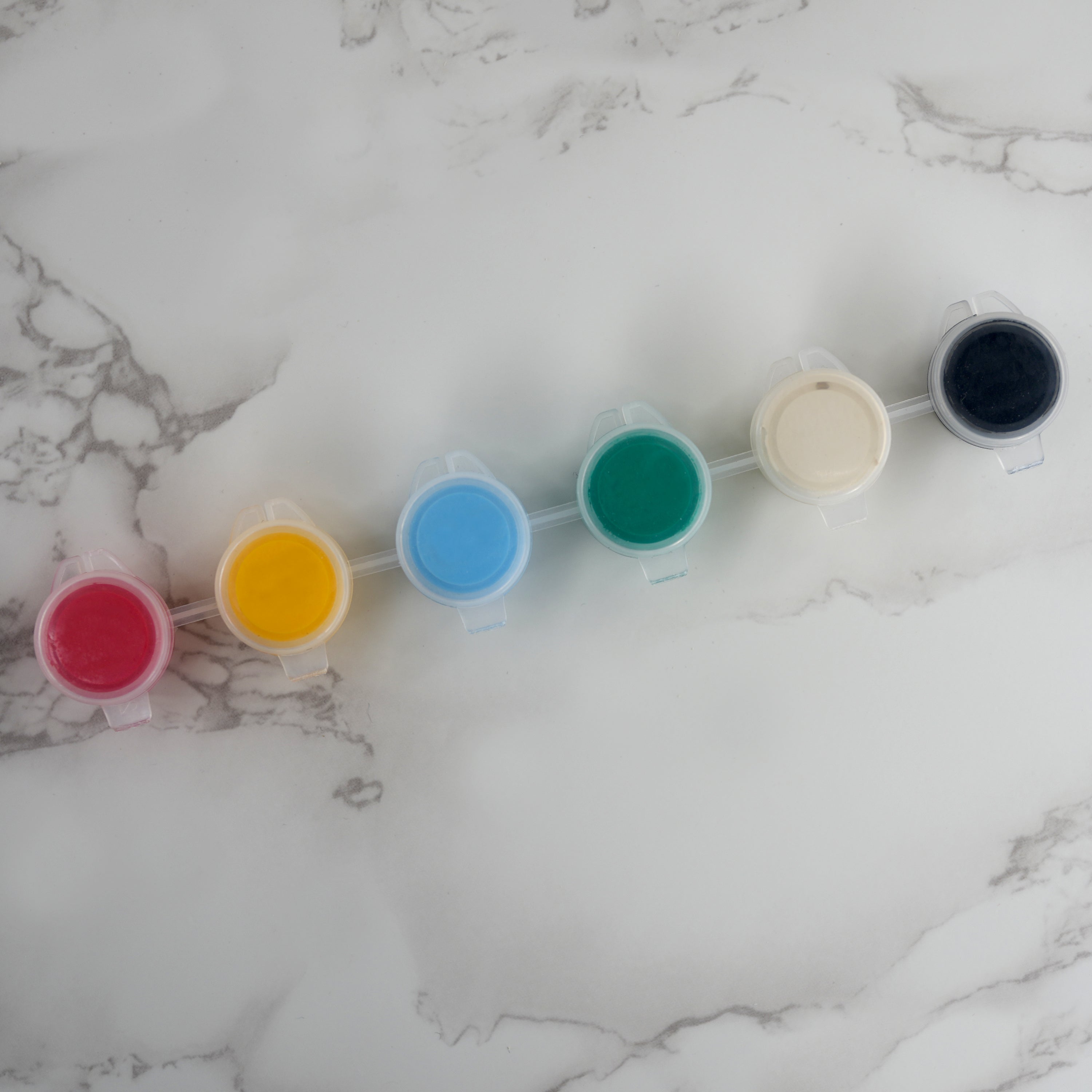 2-in-1 Fossil Excavation Kit by The Magic Toy Shop - The Magic Toy Shop