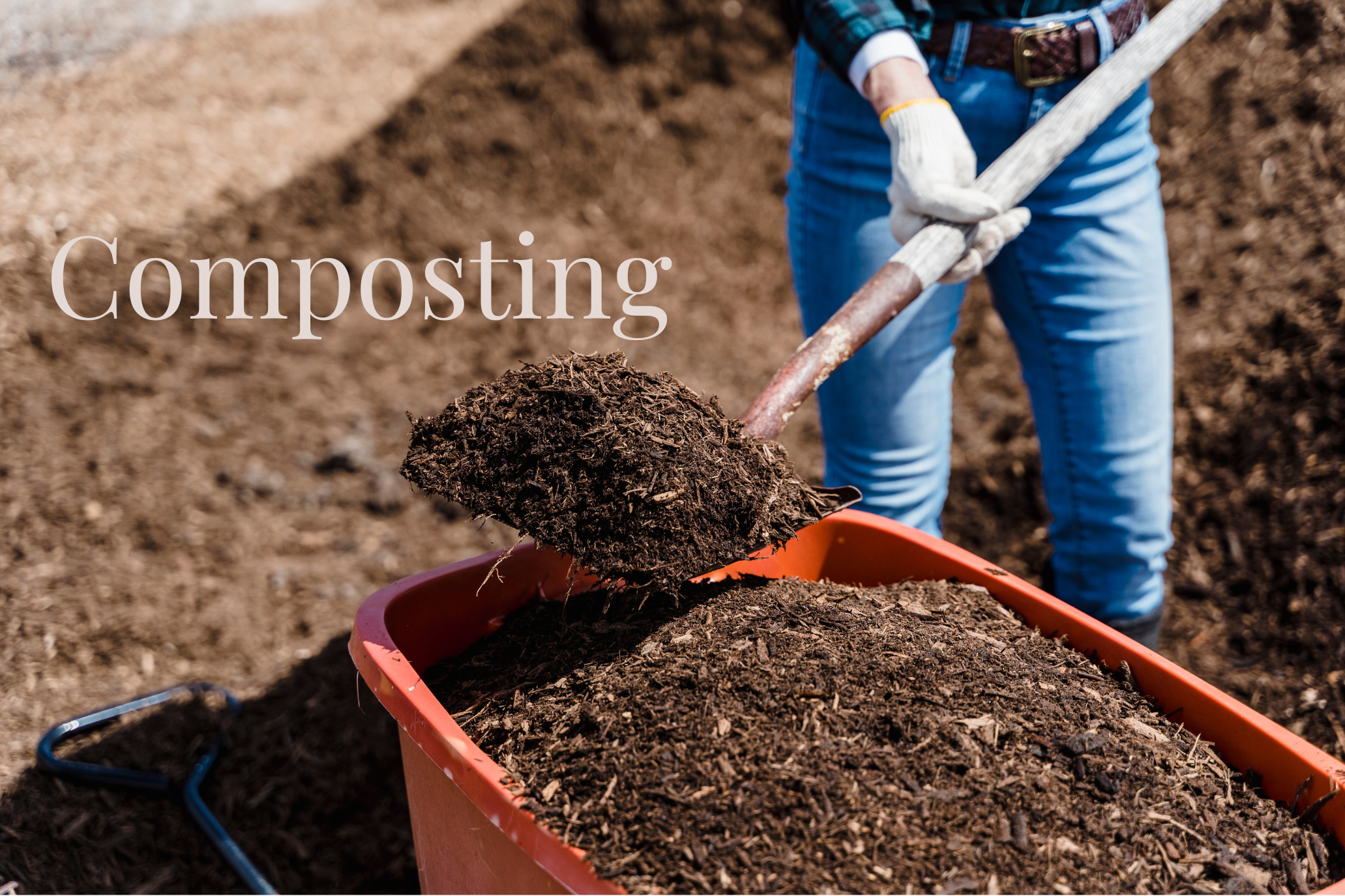Ultimate Guide to Composting: Common Mistakes 