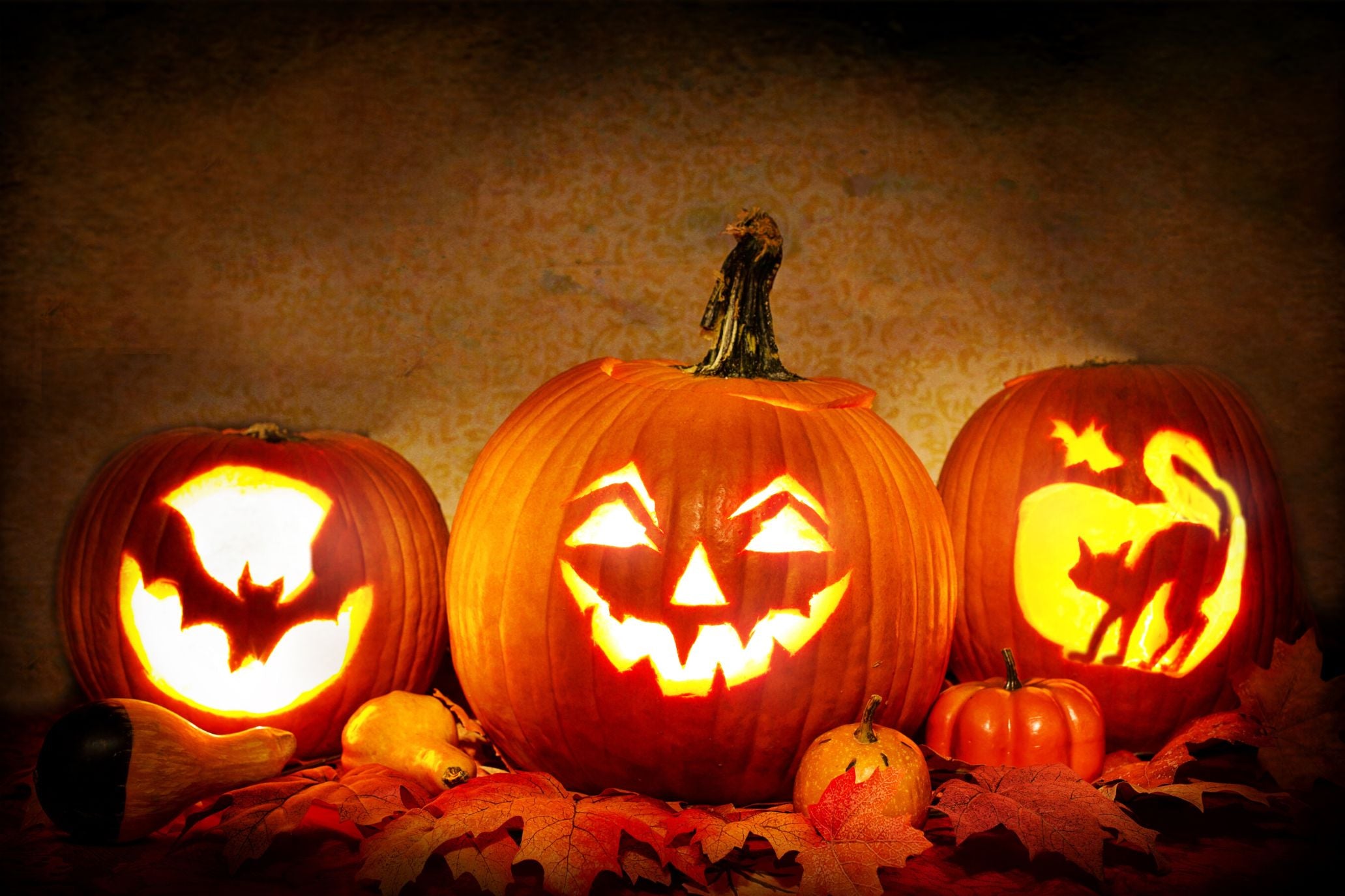 Halloween 2023: Origins, Meaning, Traditions & Facts