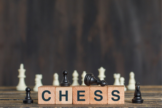 Chess Unriddled: A Beginner's Guide to the Royal Game - The Magic Toy Shop Blog