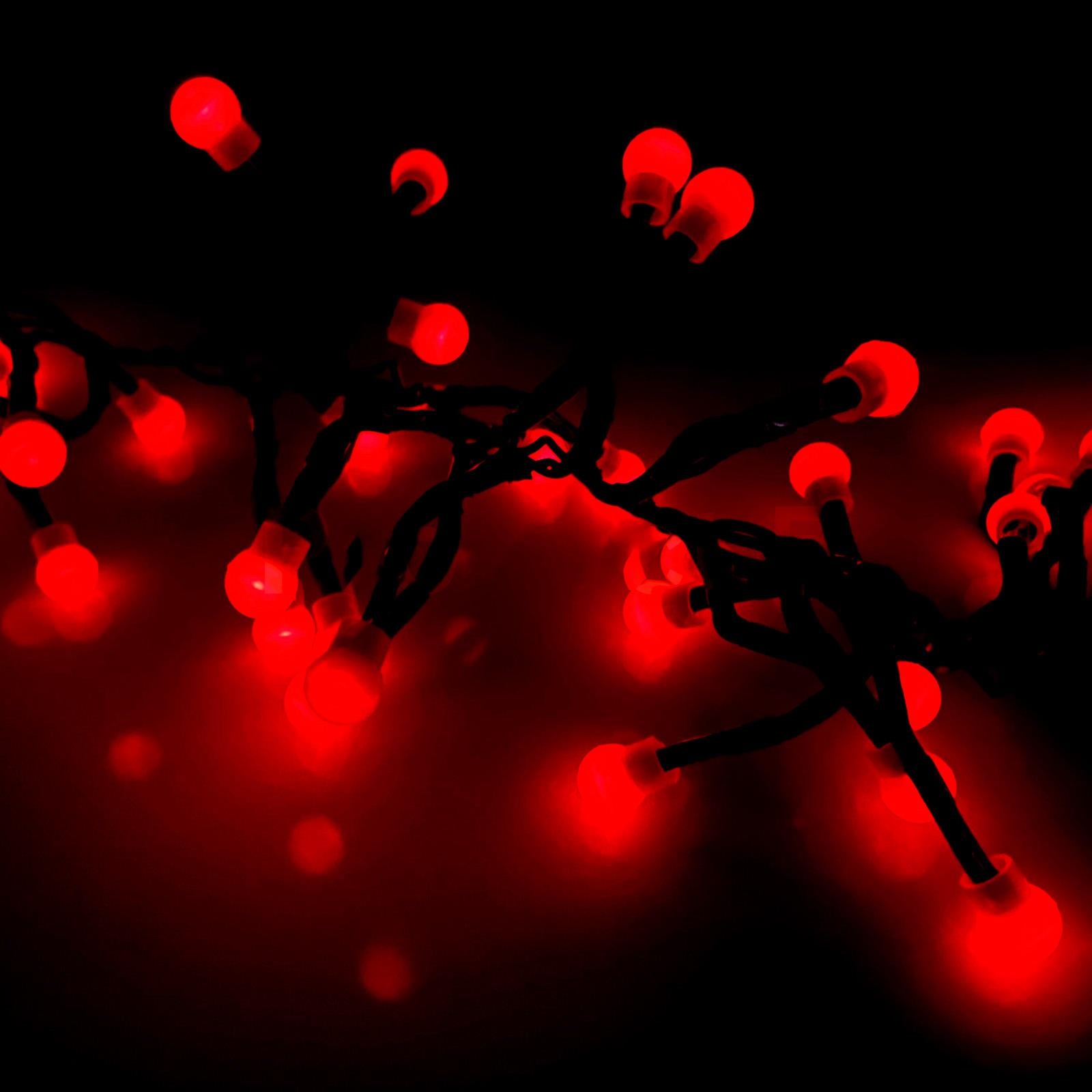 String of 100 red berry LED lights against a dark background, featuring vibrant glowing bulbs perfect for festive decorations. Ideal for Christmas lights, party decor, or any celebration. Available at themagictoyshop.