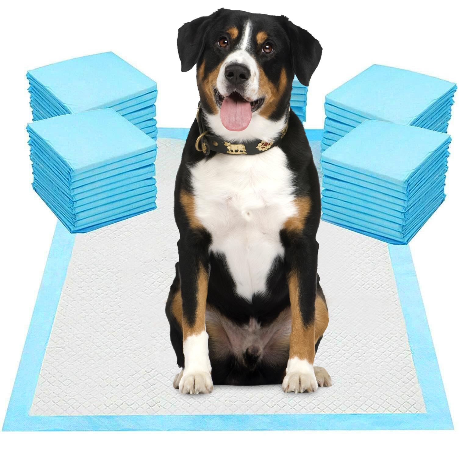 Large Training Pads for Dogs Pads Set of 72