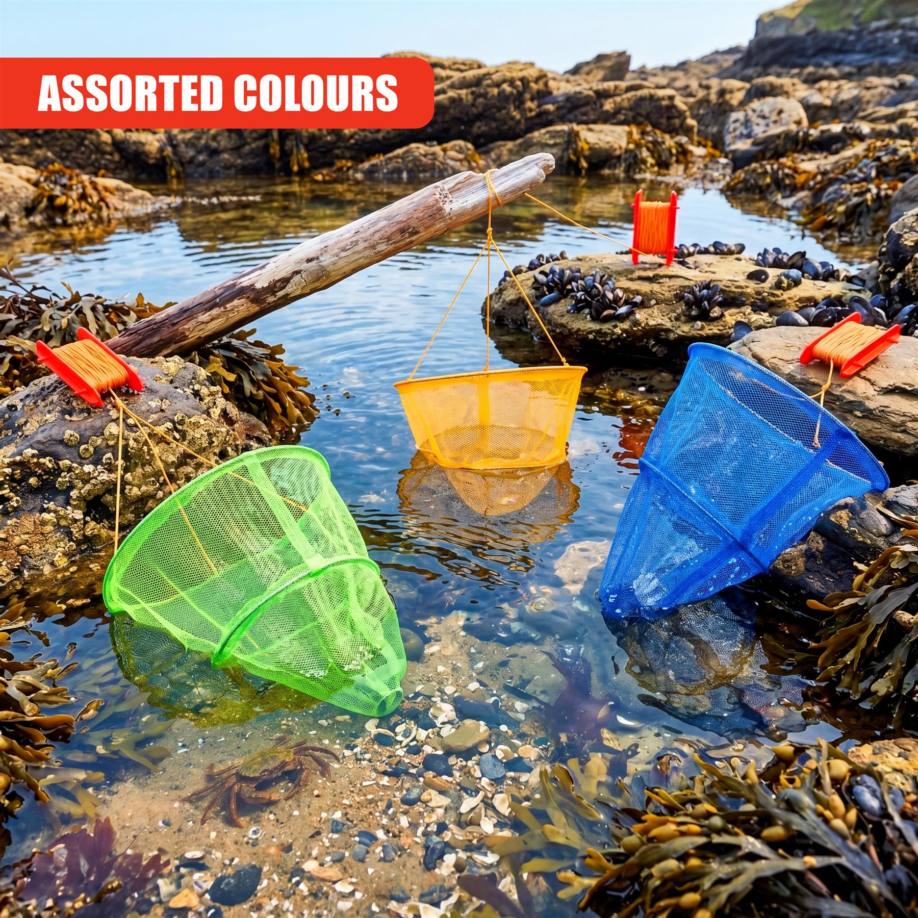 Kids Crab Drop Net