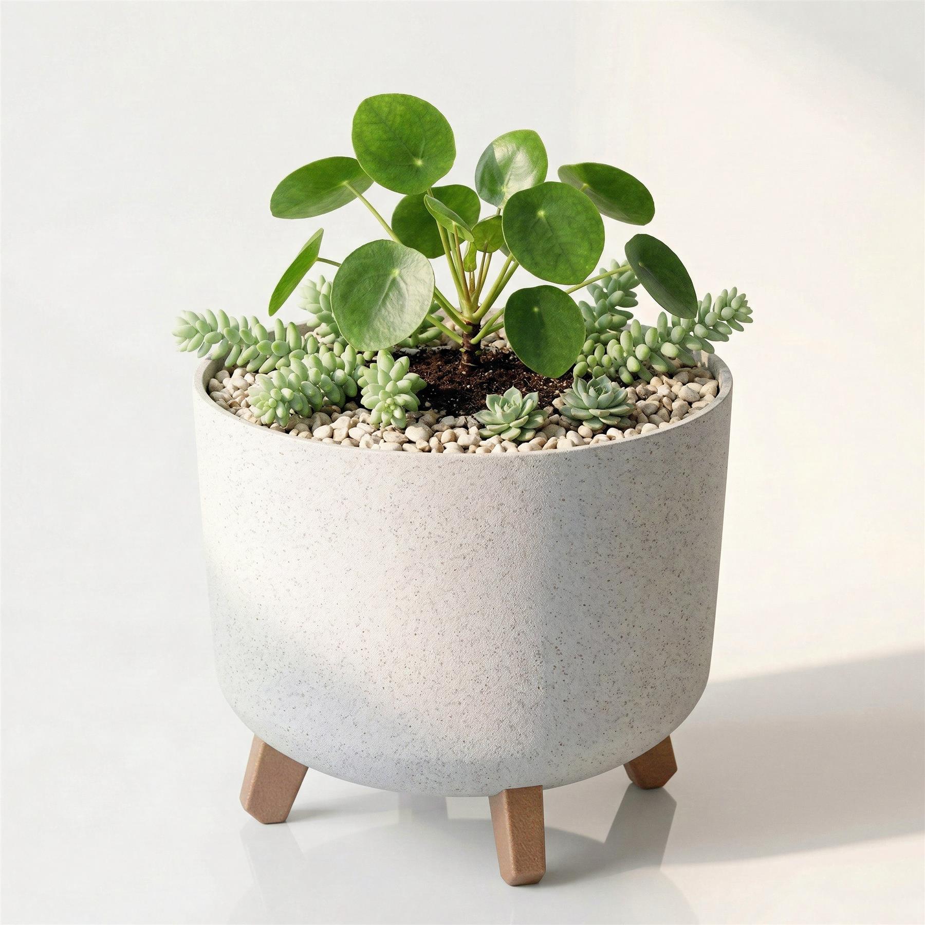Ceramic plant pot with wooden feet containing soil, gravel, and various live green succulents.