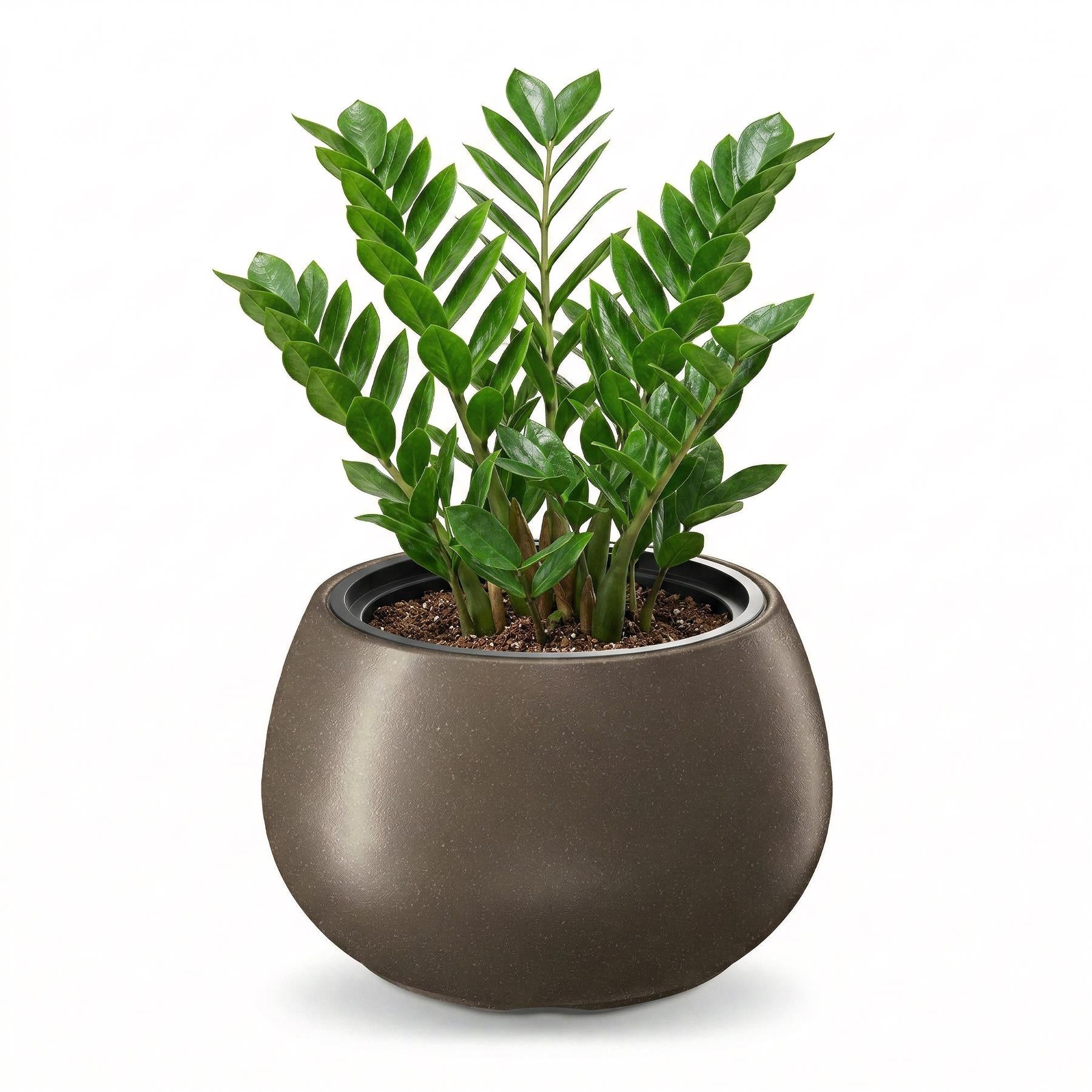 Round Flower Pot, 37 cm