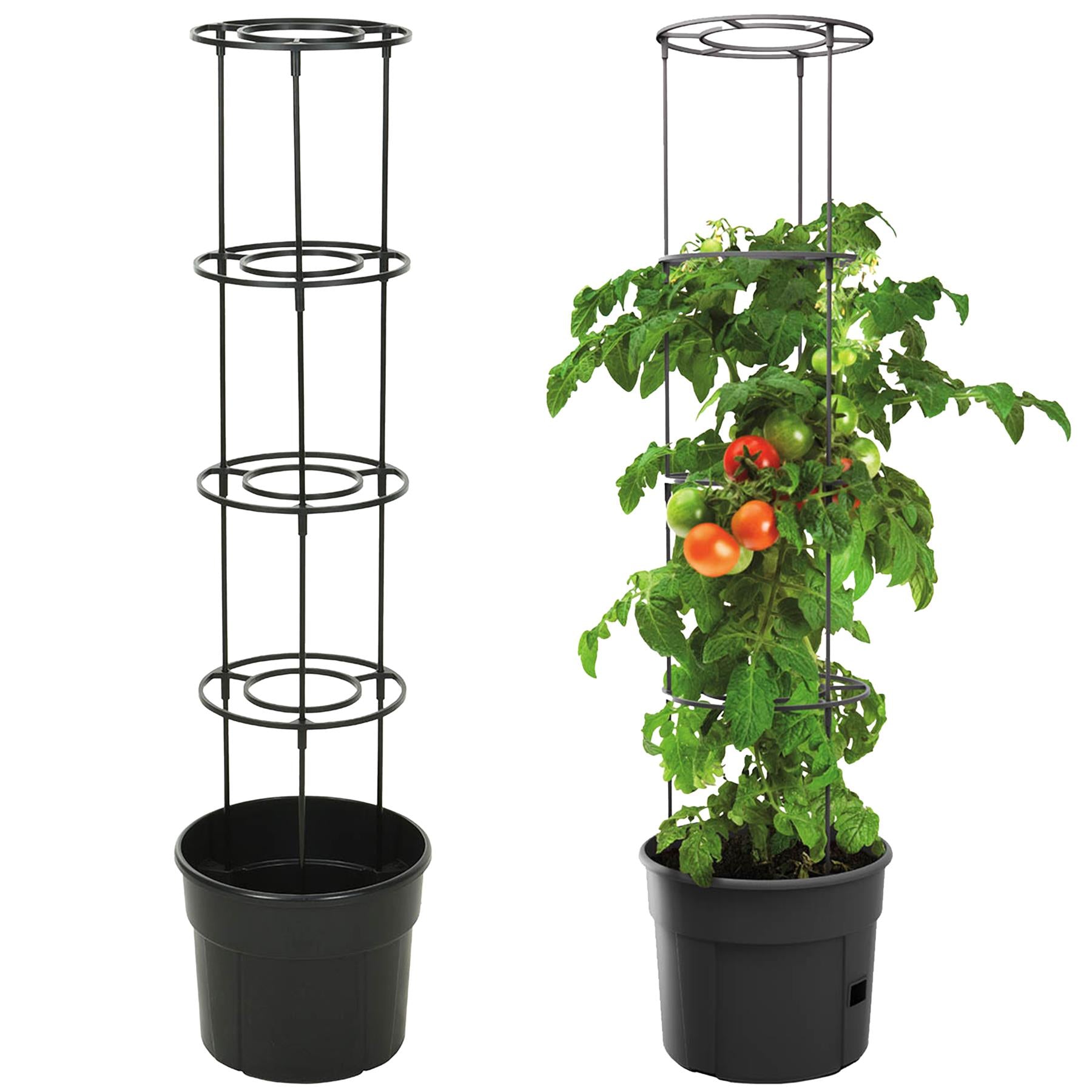 "Geezy, self watering tomato pot, 4 tier design, available at themagictoyshop."