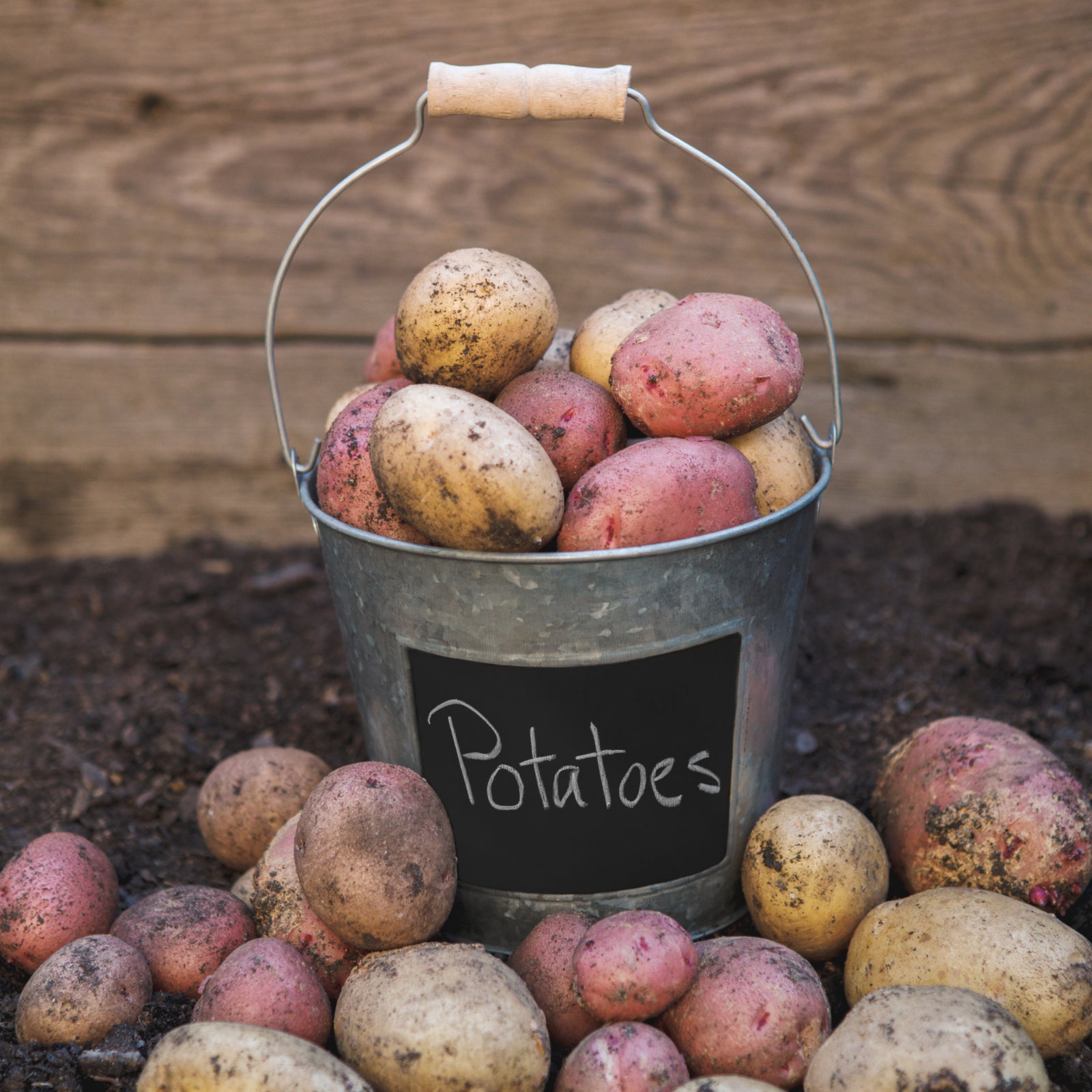 Geezy Zinc Bucket With Wooden Holder