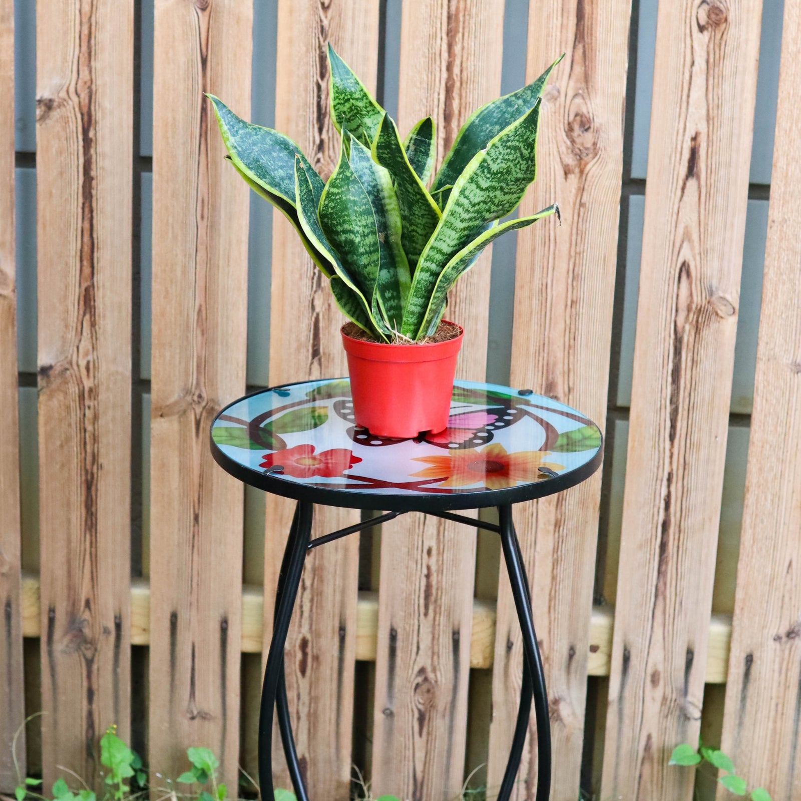 GEEZY Round Side Mosaic Table With Small Butterfly Design