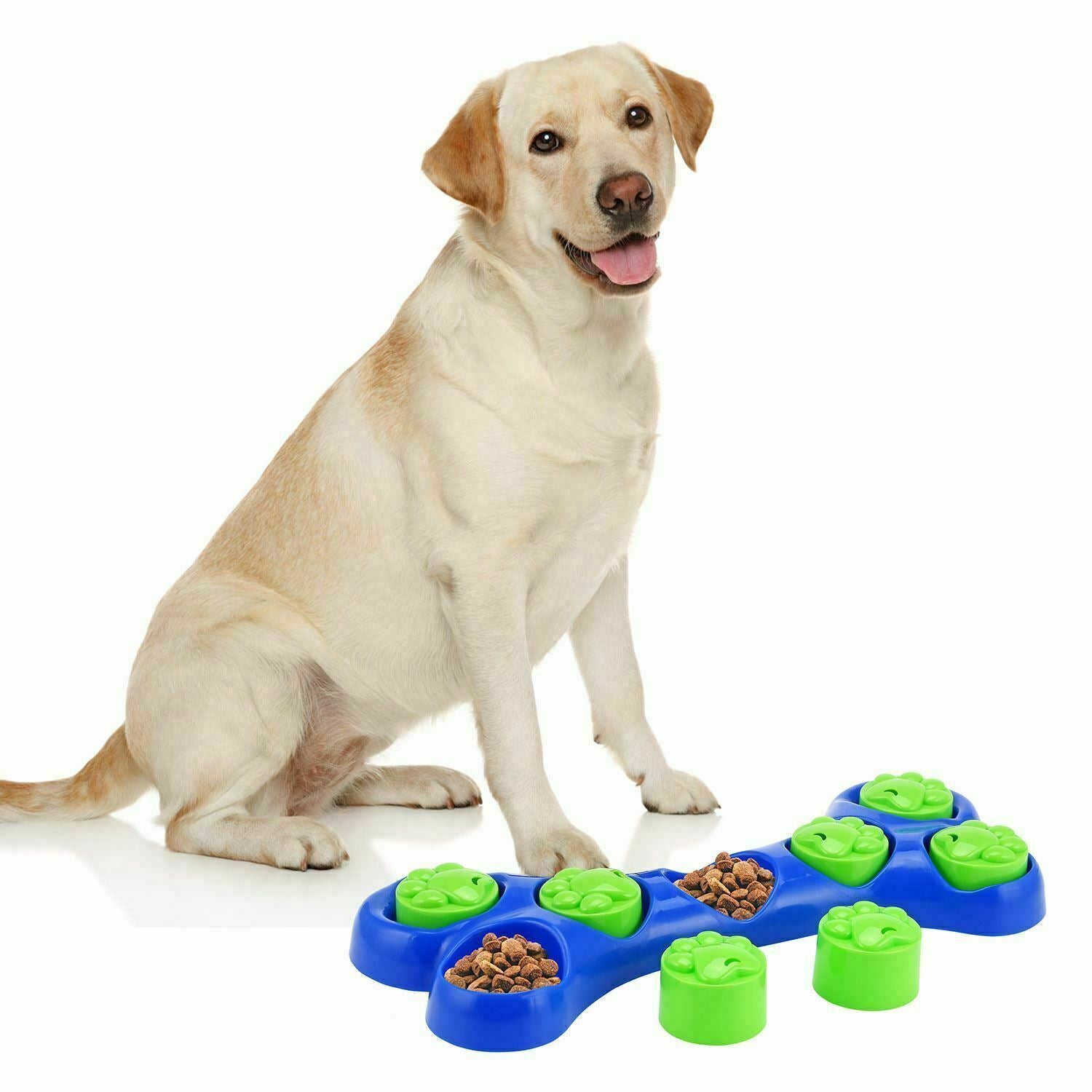 Interactive Bone Dog Treat Toy