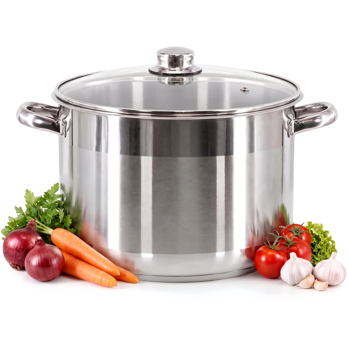 Stainless Steel Stock Pot with Lid - 16 L