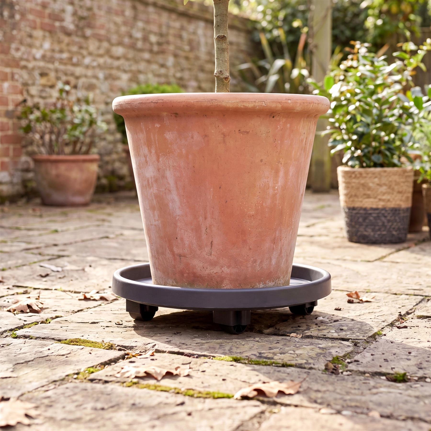Plant Trolley Plant Caddy Indoor and Outdoor Pot Caddy with Wheels Round -  Anthracite - Plant Caddy - Plant Trolley - Polypropylene