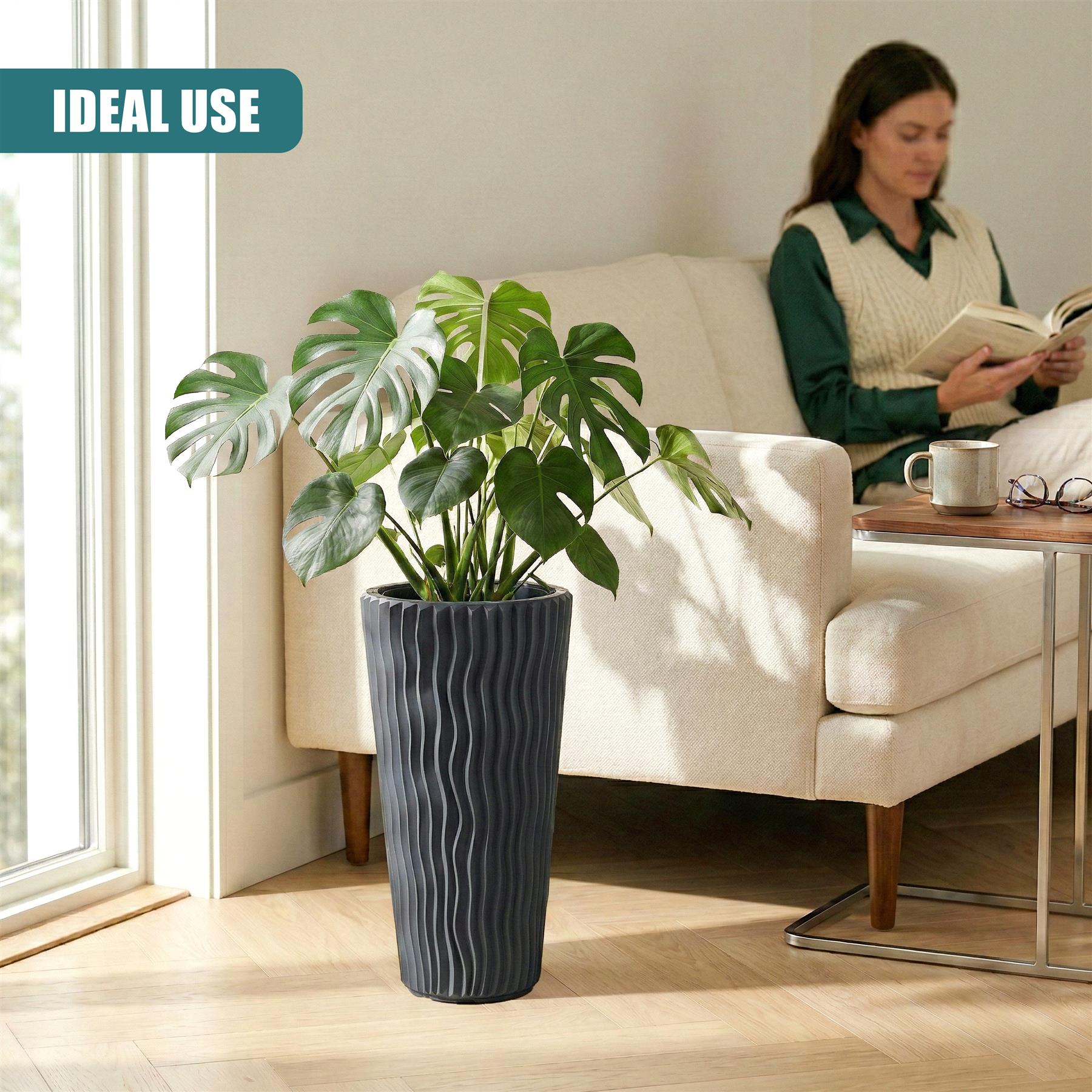Anthracite tapered pot holding large green tropical plants, sitting near a window.
