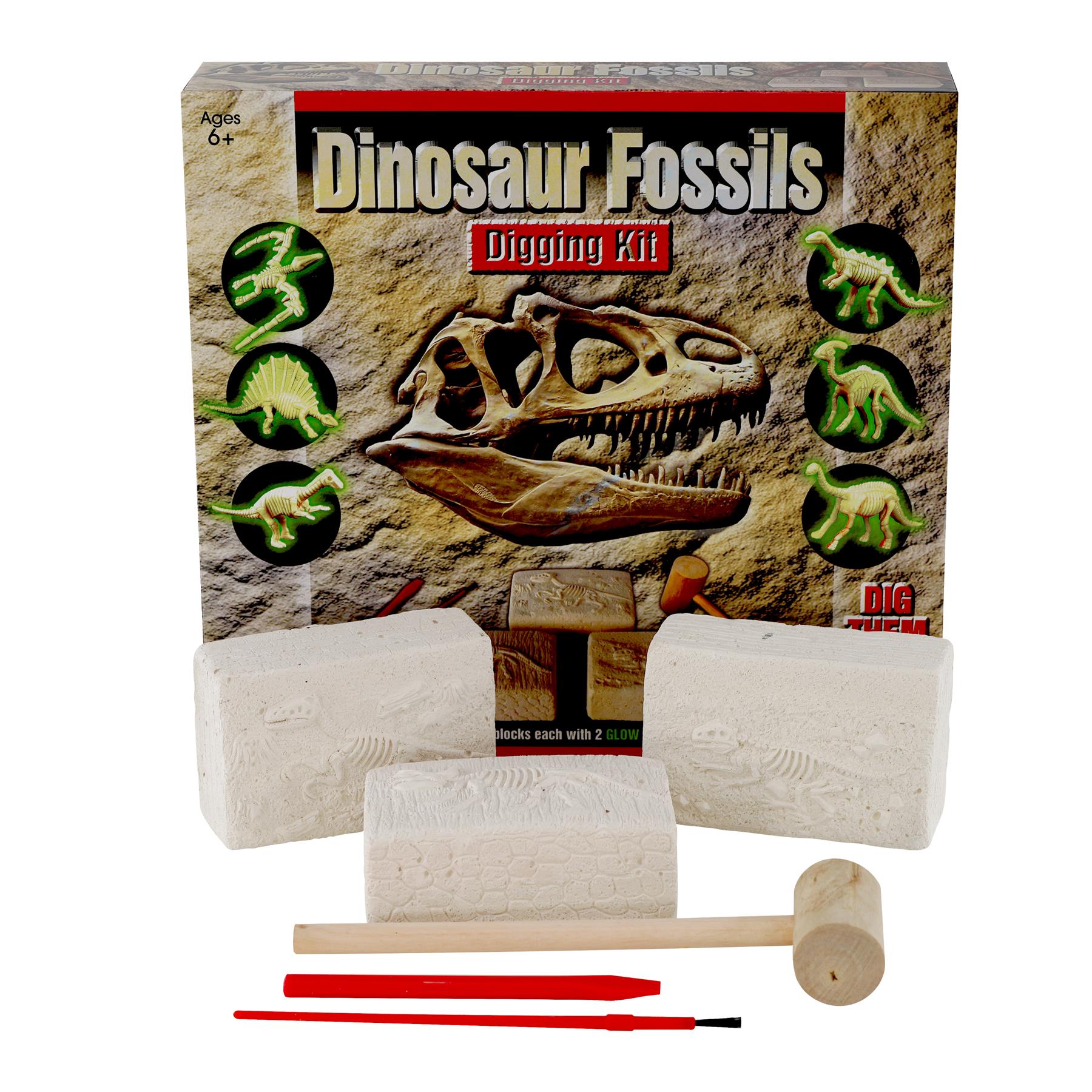 The Magic Toy Shop Dinosaur Fossils Digging Kit