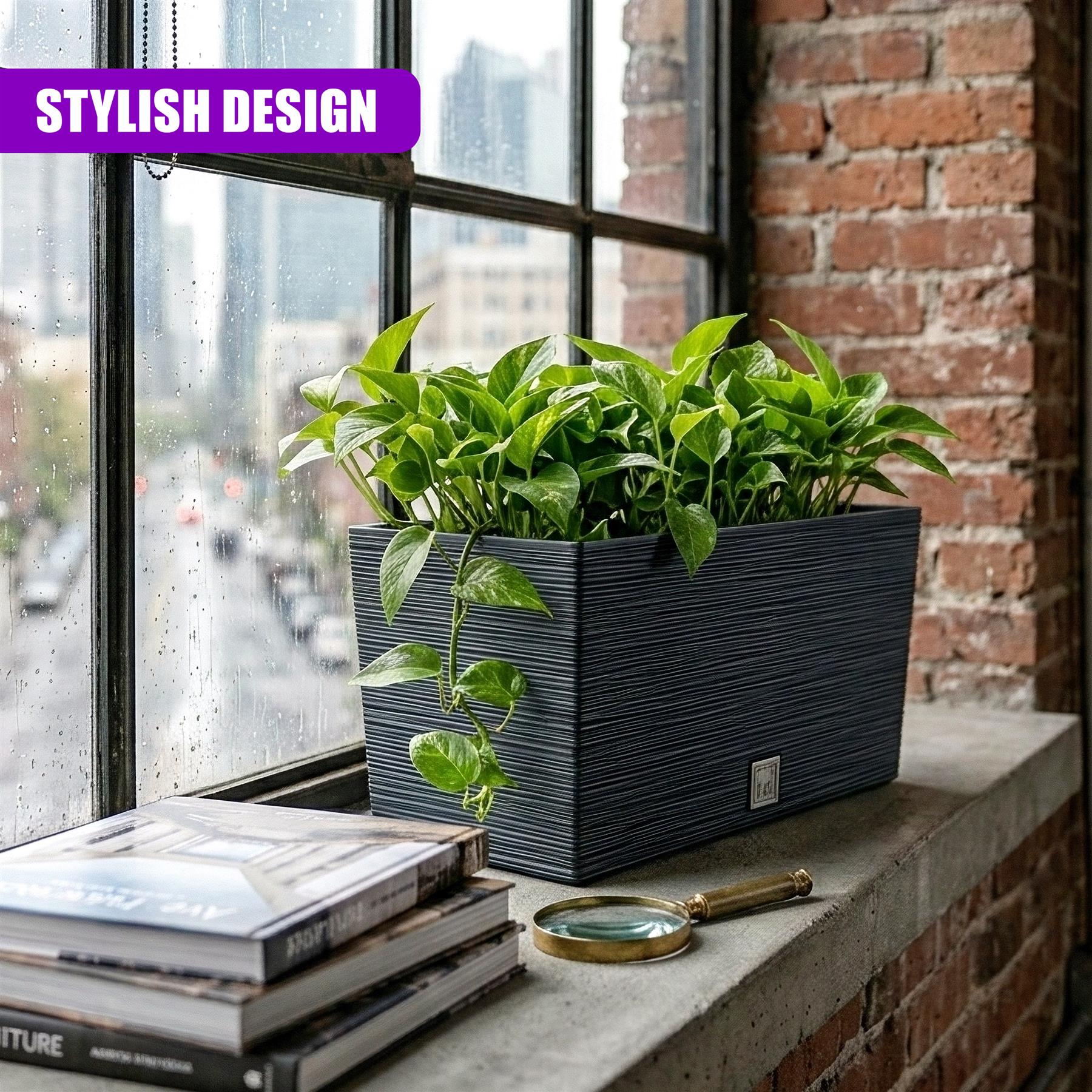 Rectangular planter filled with lush green plants on a windowsill with stacked books and a magnifying glass.