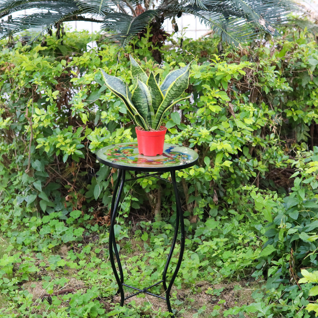 GEEZY Round Side Mosaic Table With Peacock Design