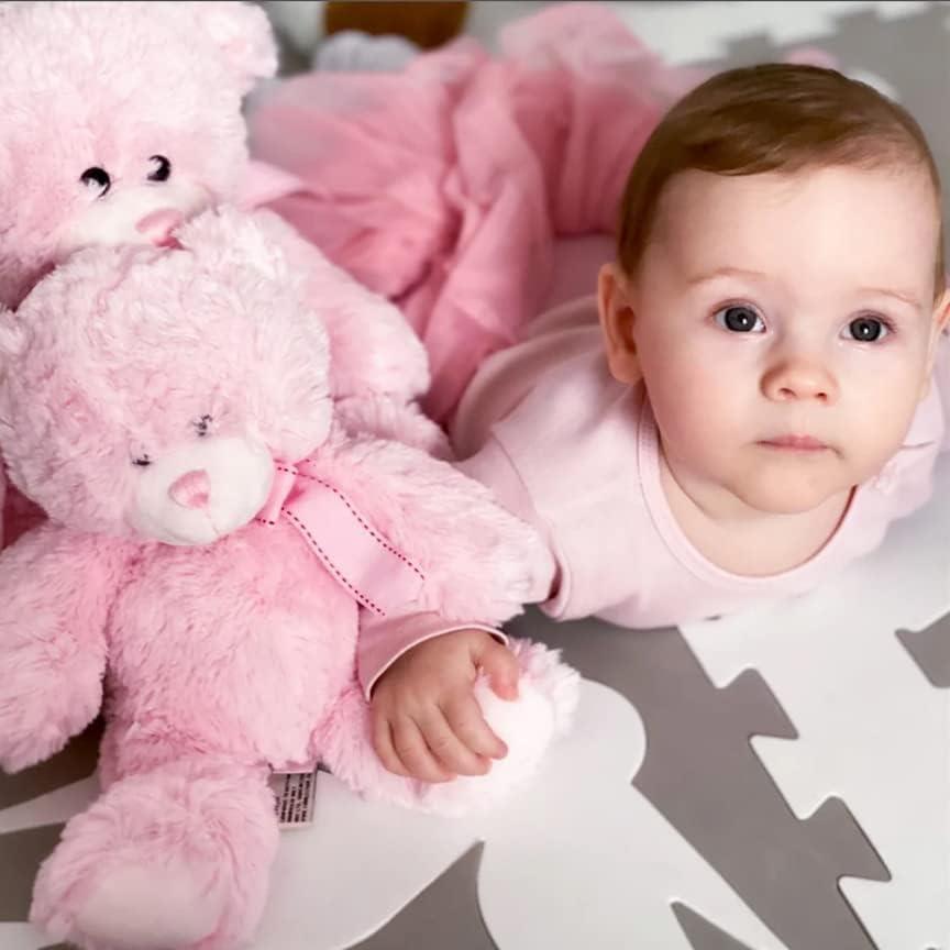 Plush Teddy Bear Soft Toy with Ribbon (Pink)