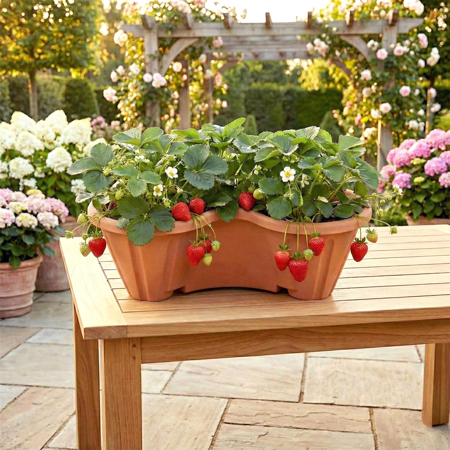 Stackable Strawberry Planter