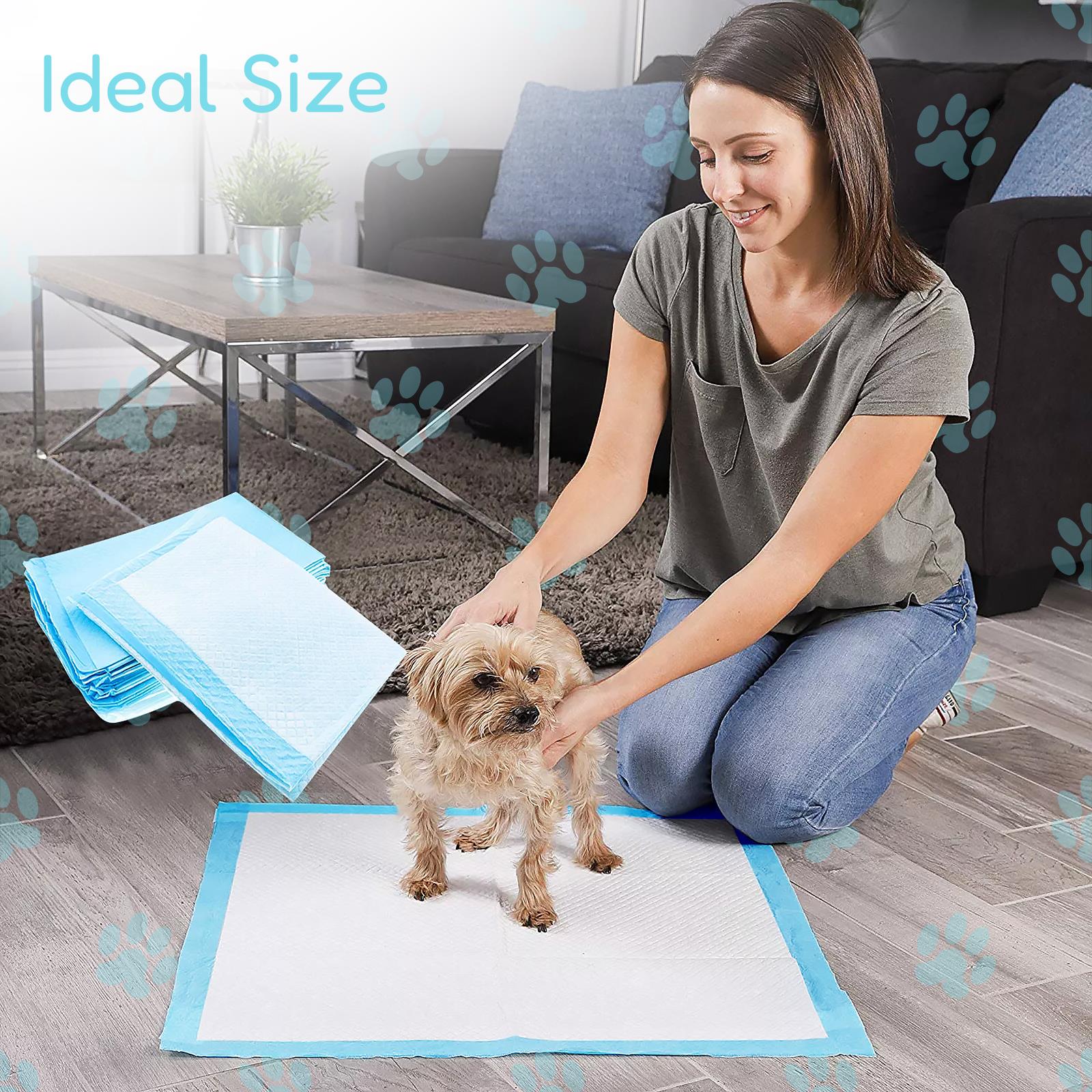 Large Training Pads for Dogs Set of 6 White Blue Training Pads Training Pads Absorbable Polymer Cotton Geezy