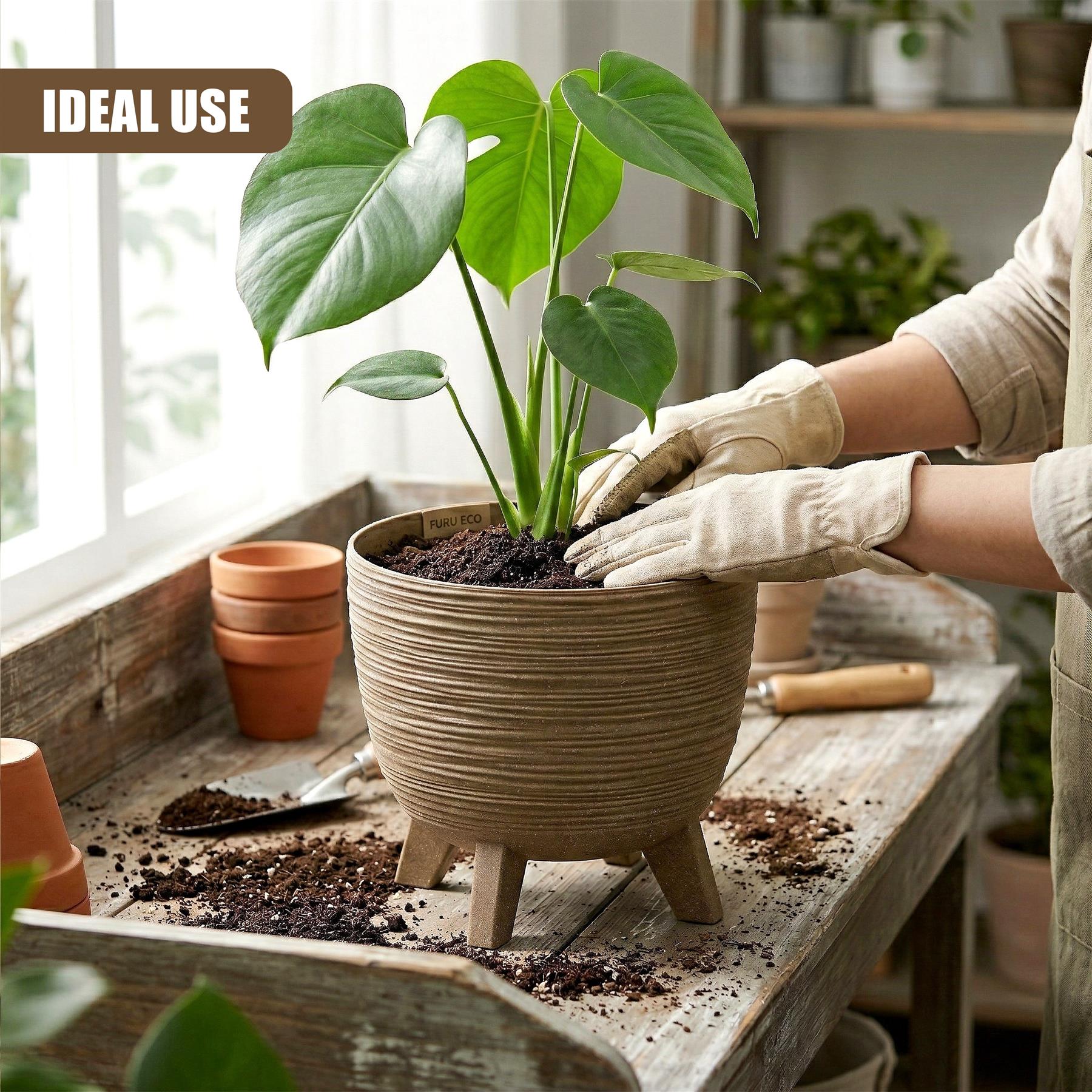 Brown pot with three legs holds a vibrant green tropical plant on a rustic wooden table surface.