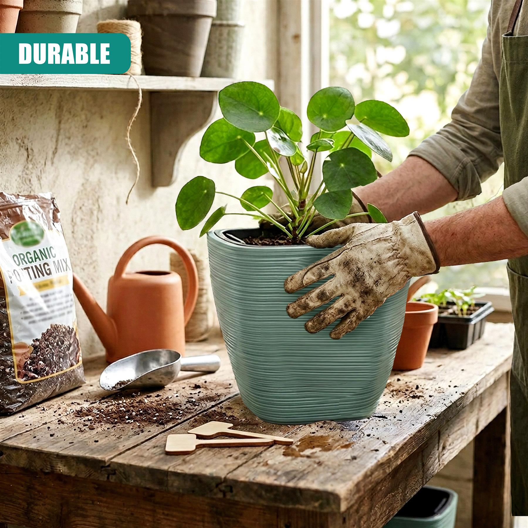 Hands in gloves plant a leafy green houseplant in a textured light blue pot on a rustic wooden table.