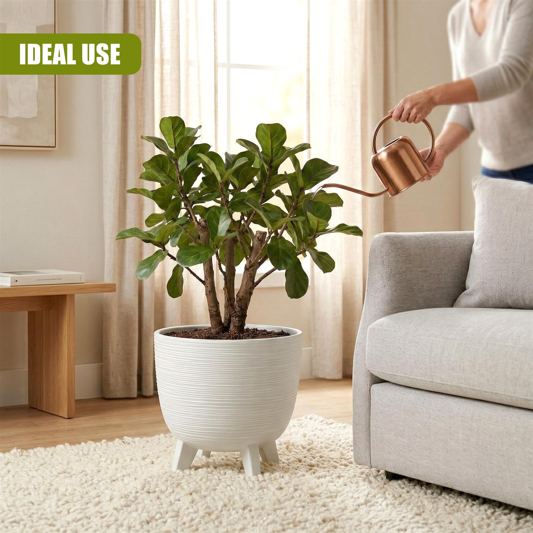 A large indoor plant is watered in a white ceramic pot resting on three supporting legs.
