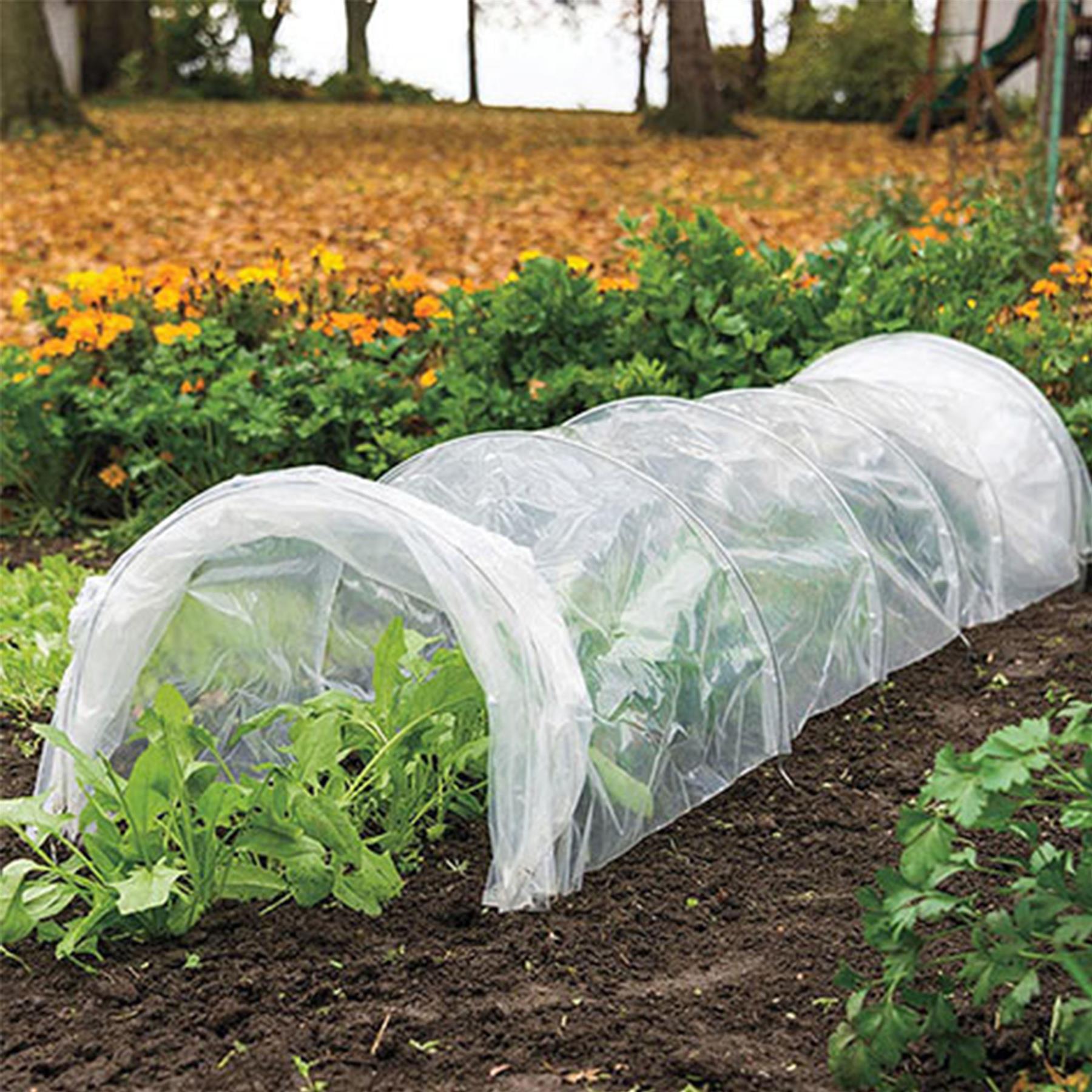 Geezy Greenhouse Polytunnel