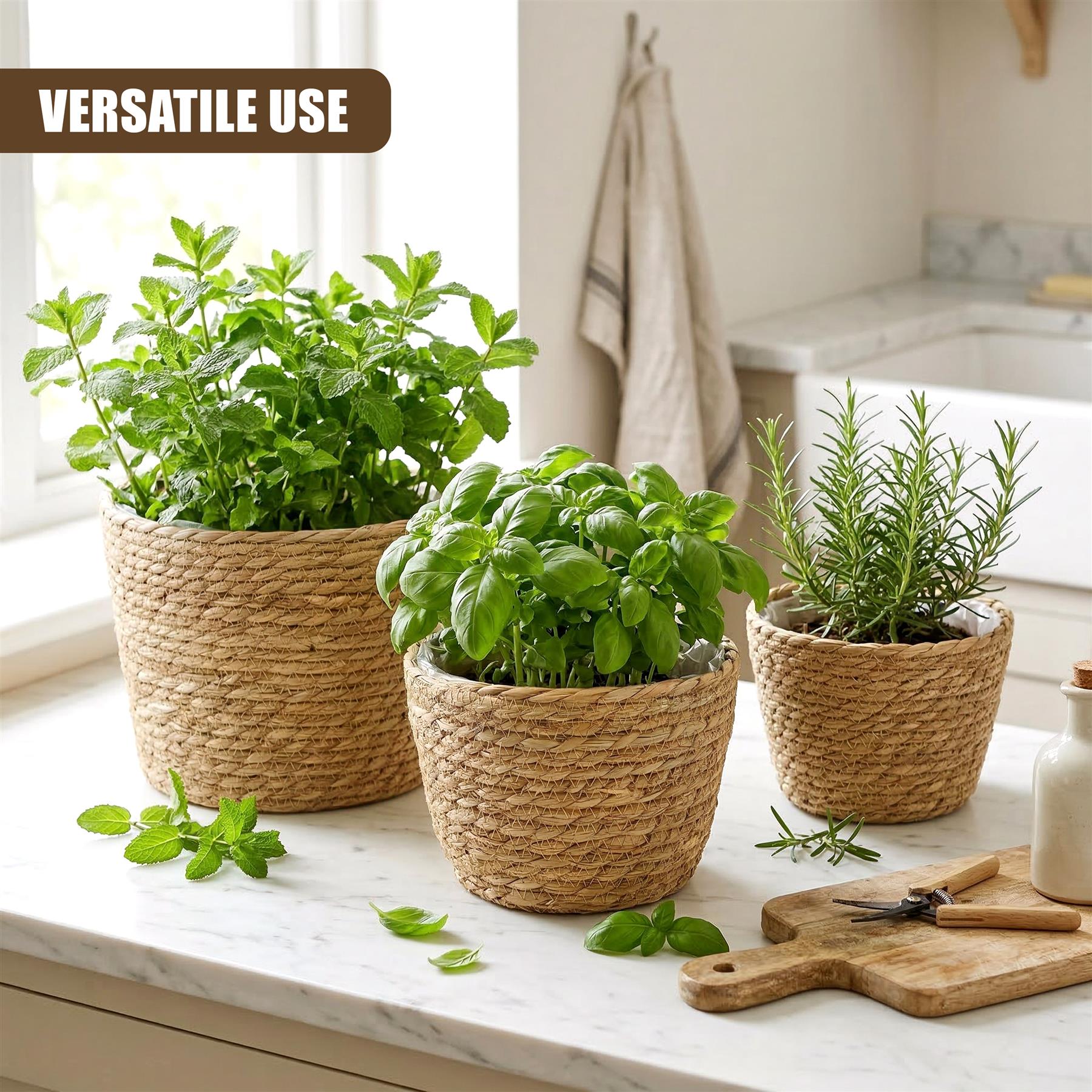 Set of 3 Wicker Planters