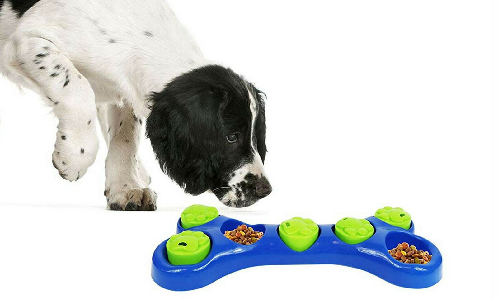 Interactive Bone Dog Treat Toy