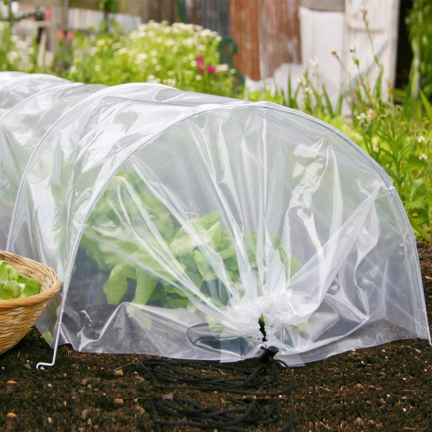 Geezy Greenhouse Polytunnel