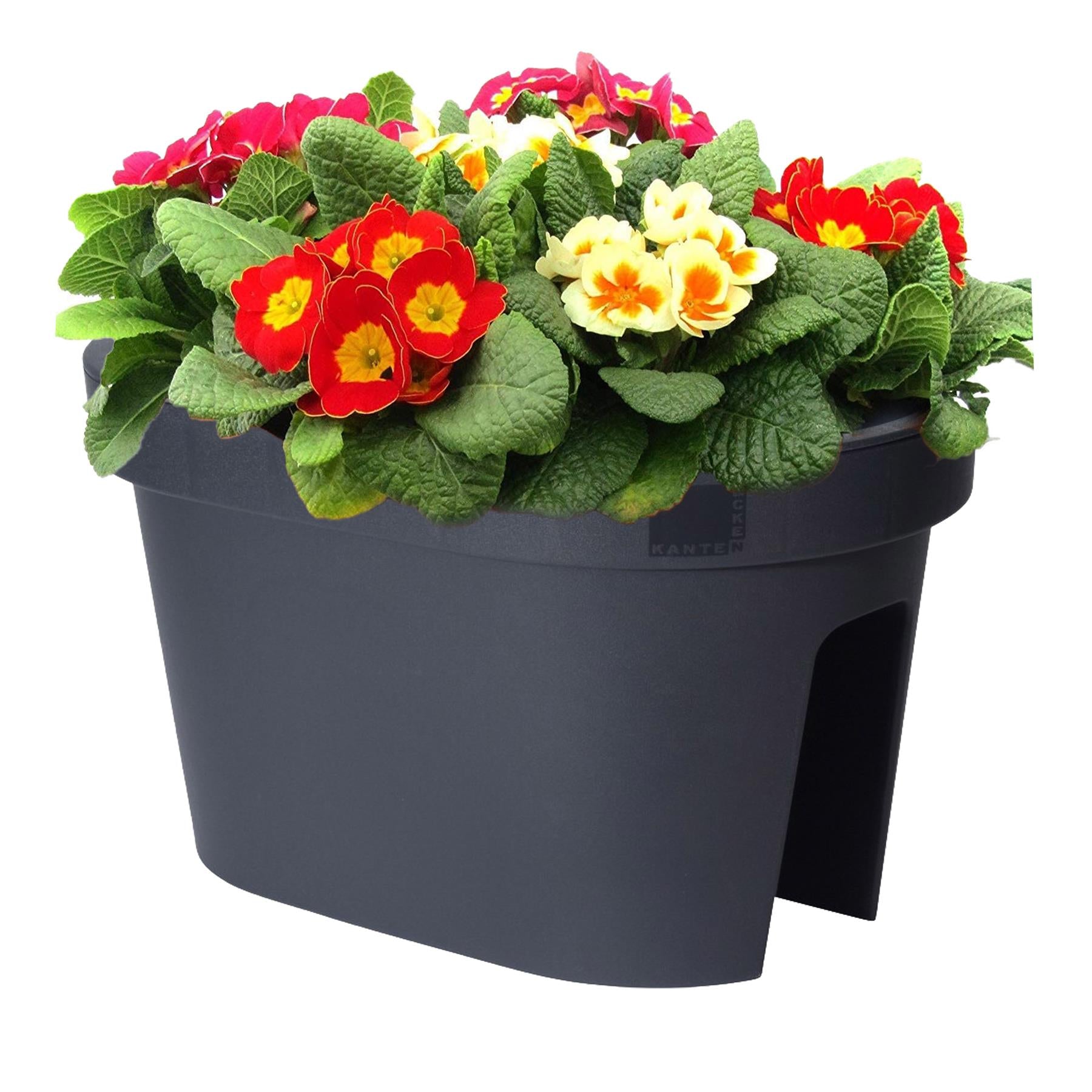 Flower Bridge Hanging Planter Oval Pot by Geezy - The Magic Toy Shop