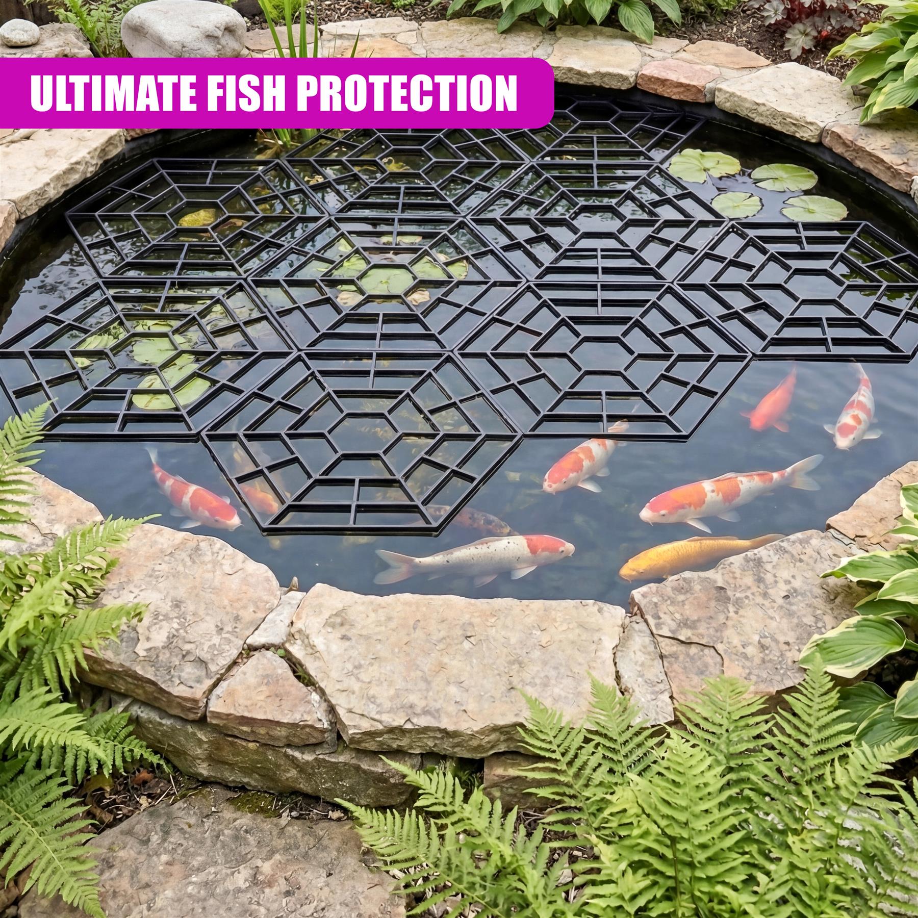 Black geometric grid floats on the pond surface, containing several fish and lily pads.
