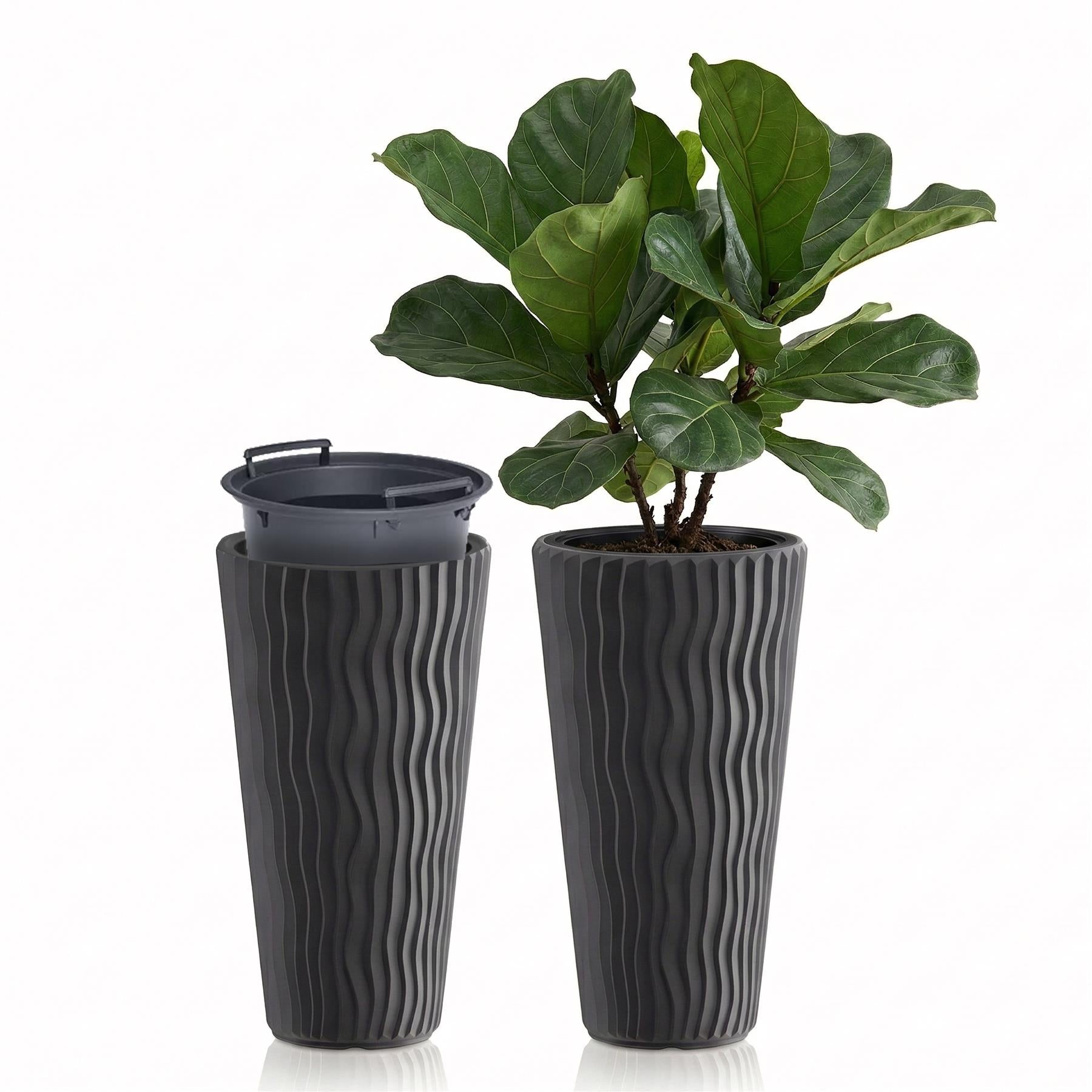 Potted plant with deep green leaves housed in a textured, tall, dark grey ribbed pot.