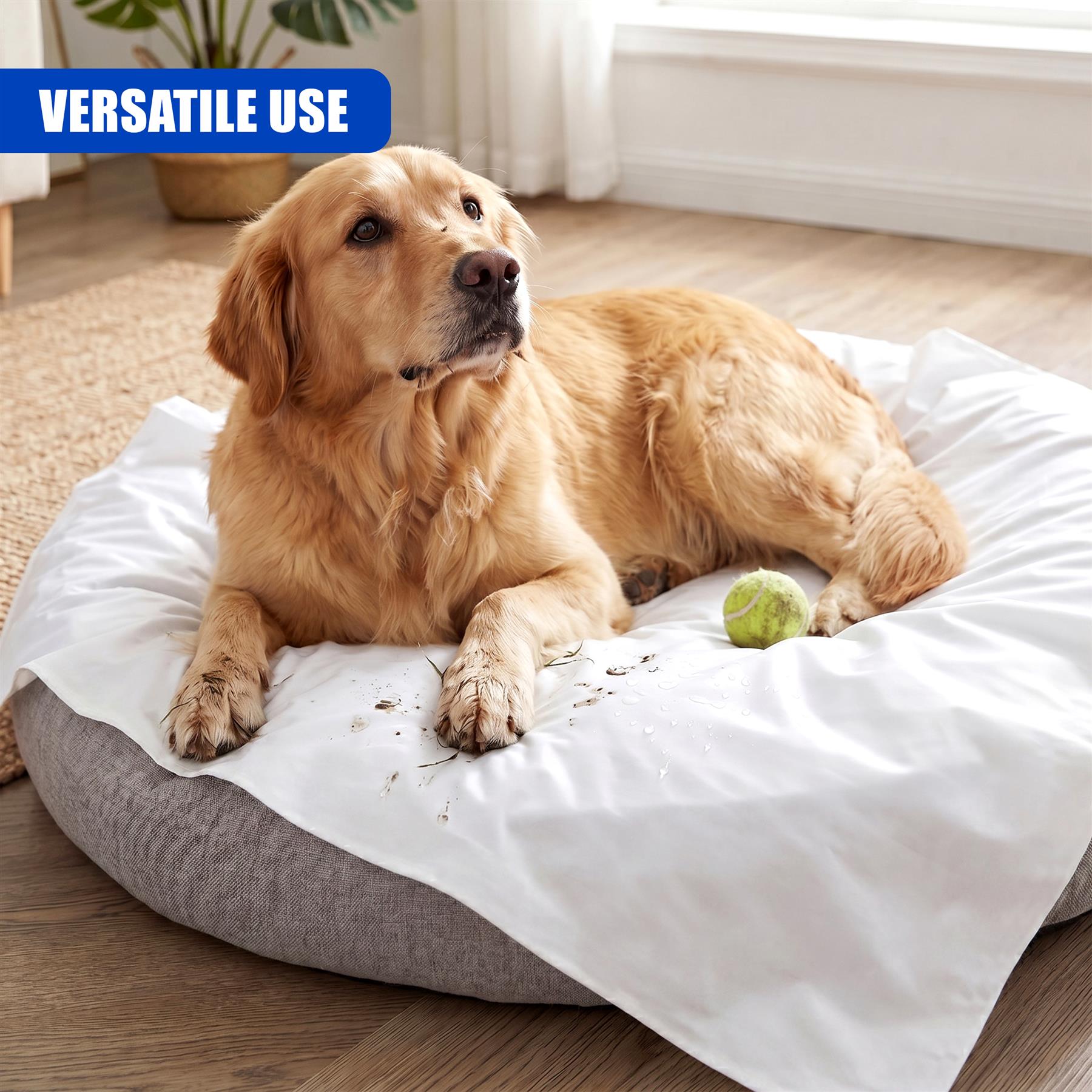 Golden retriever dog resting on a white pet bed cover; dirt spots and a green toy are visible.