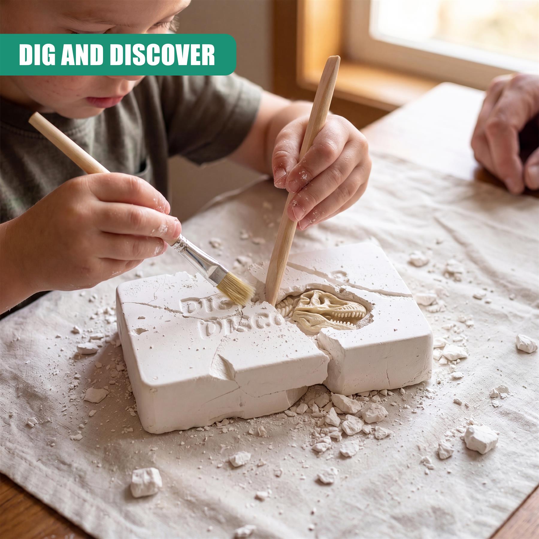 2-in-1 Fossil Excavation & Modelling Kit