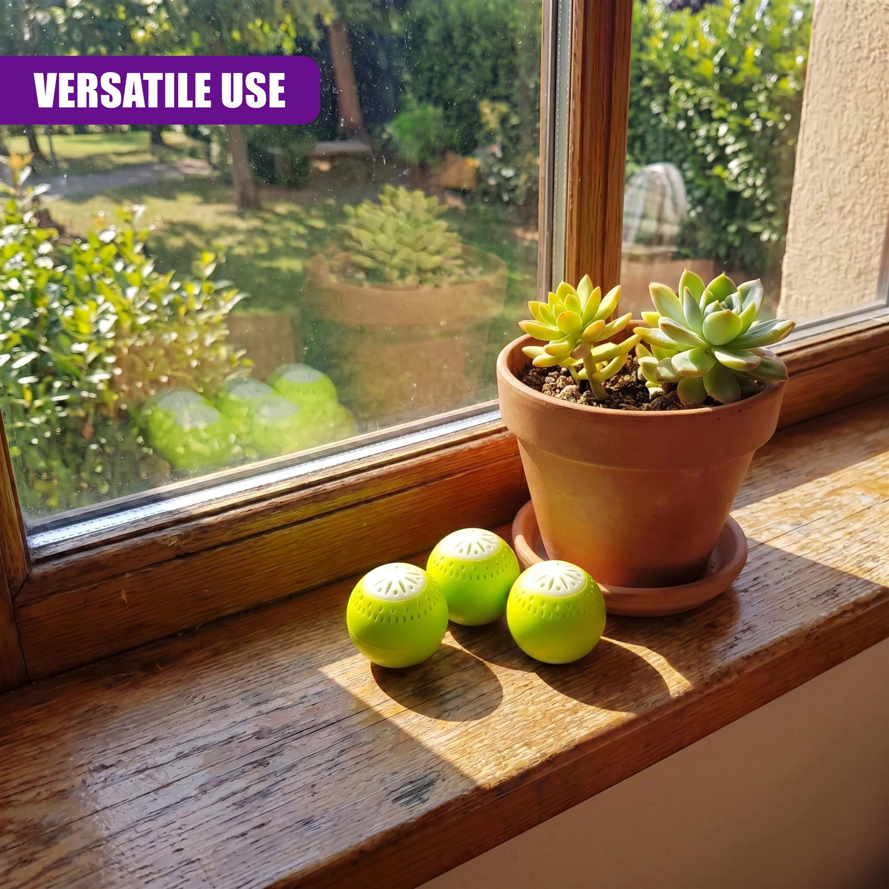 Three bright green deodoriser balls and a potted succulent sit on a windowsill.