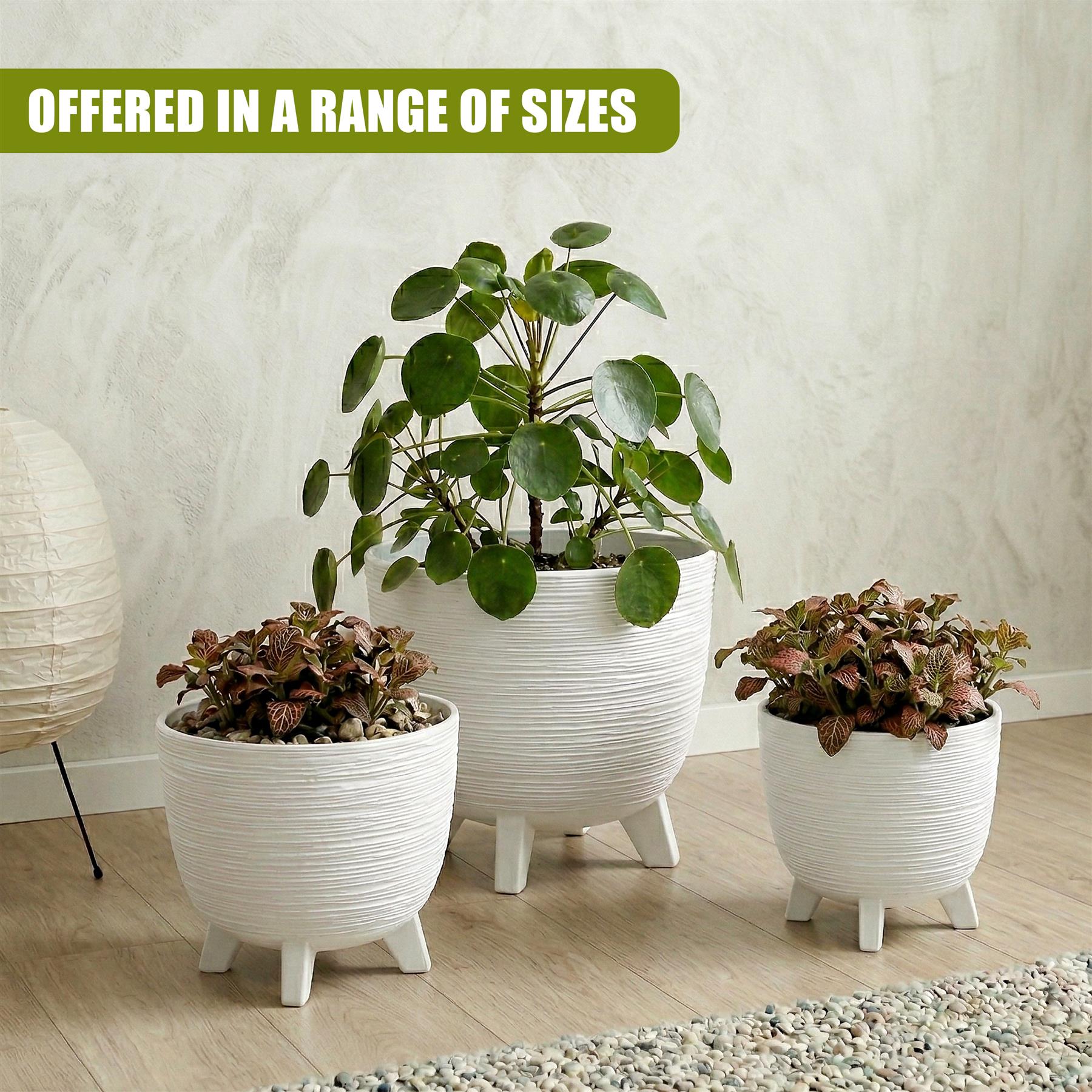 Three white, ribbed planters with legs holding various green and dark foliage plants.