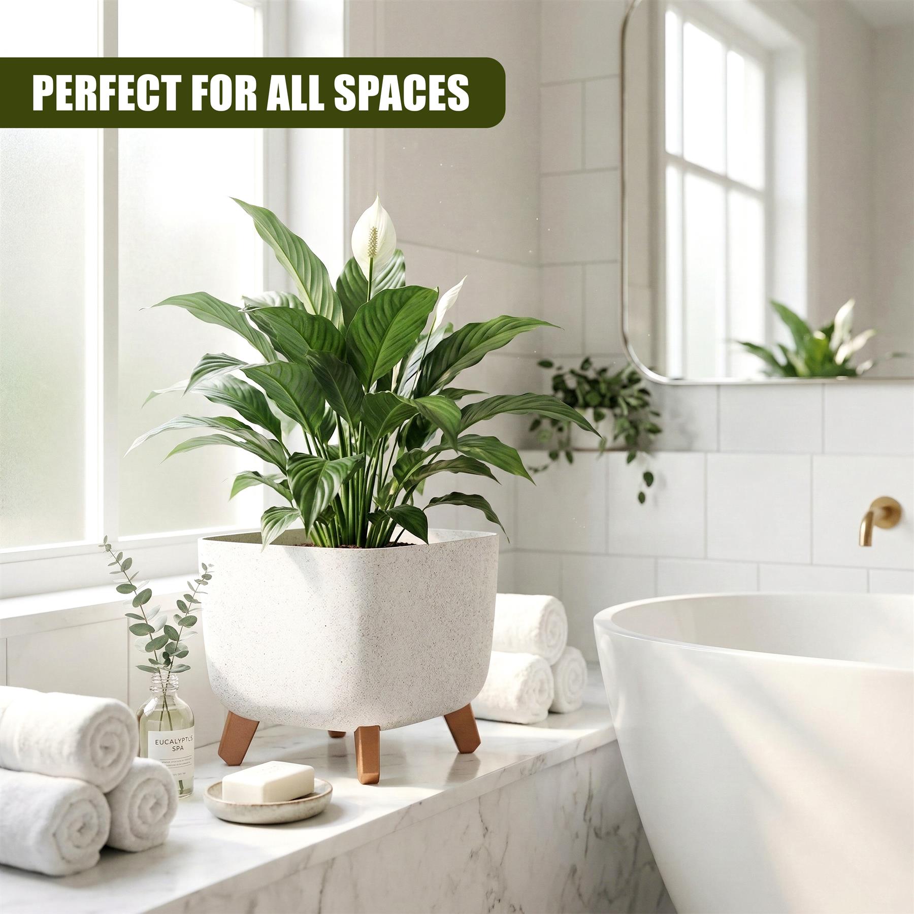 A modern white planter pot with wooden legs holds a large green flowering plant.