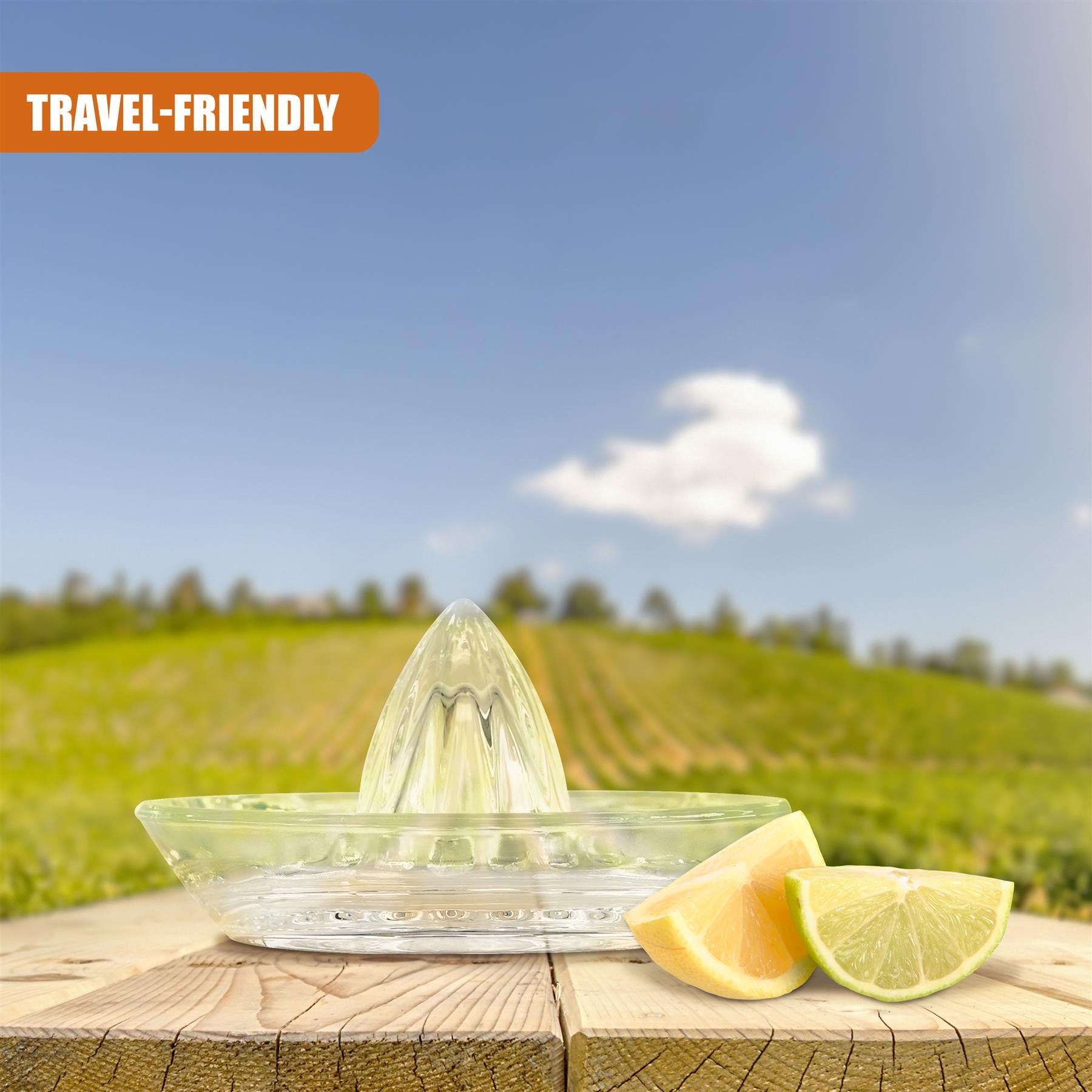 Glass Citrus Juicer