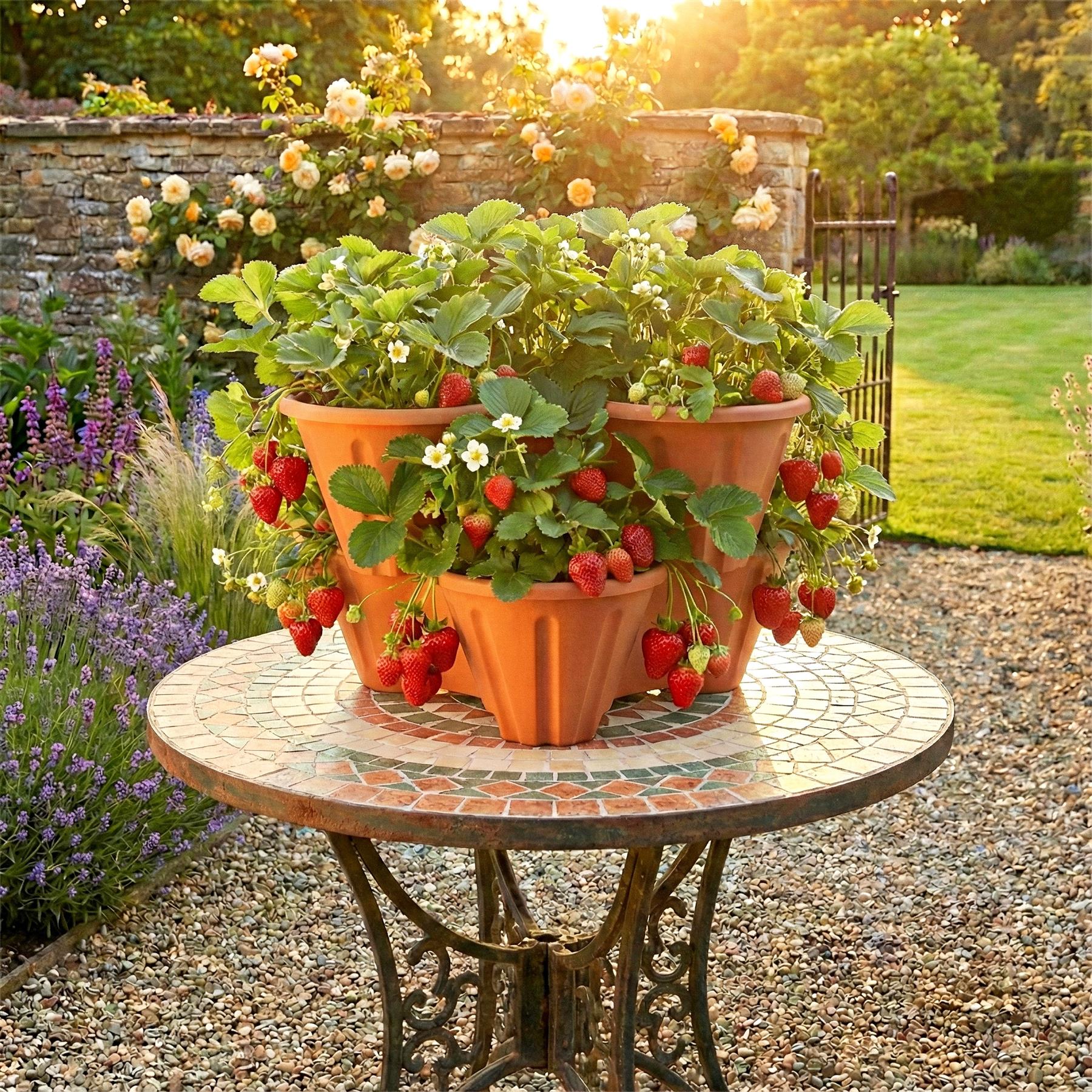 Stackable Strawberry Planter